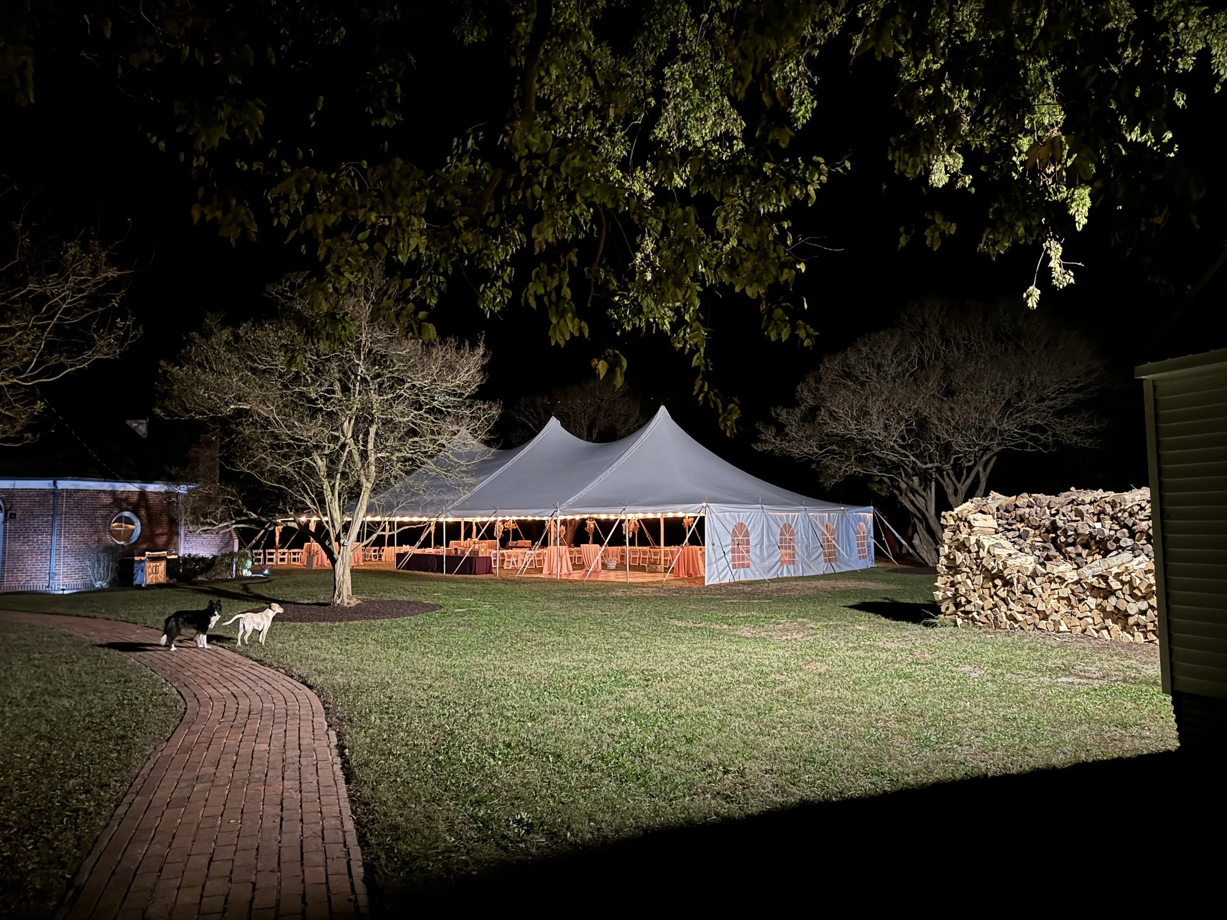 Tent Night.jpeg