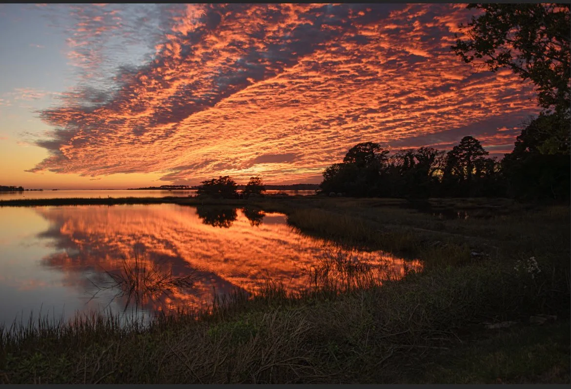 Wedding Fall Sunset.jpg