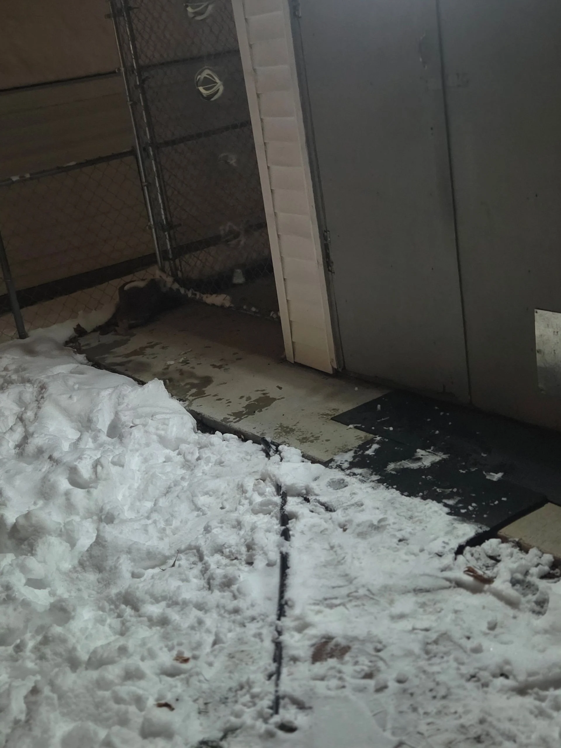 Dog lying on the ground near a fence in snow, outside a building with a sliding door and a doghouse.