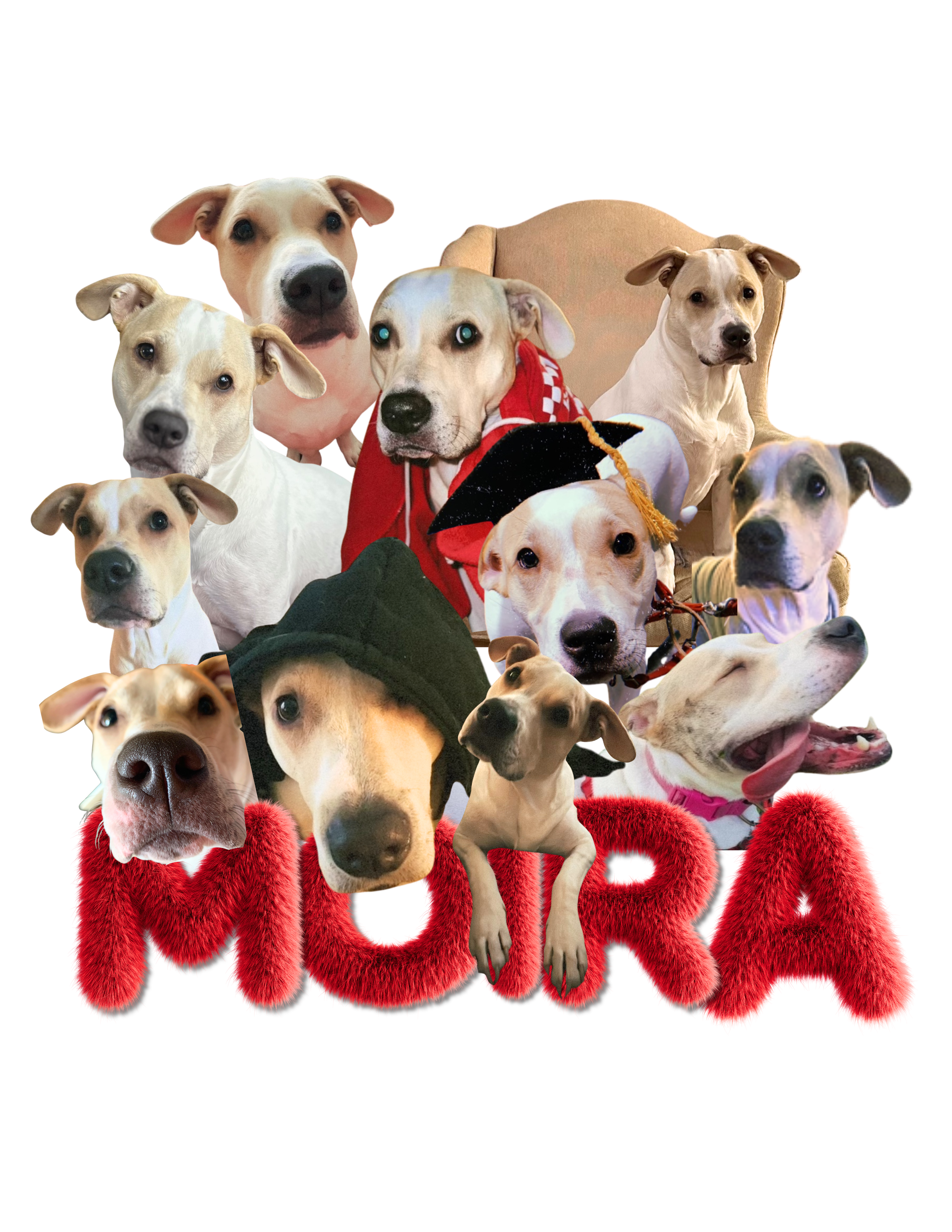 Meryl&Moira-FoodContainerLabels - 2.png