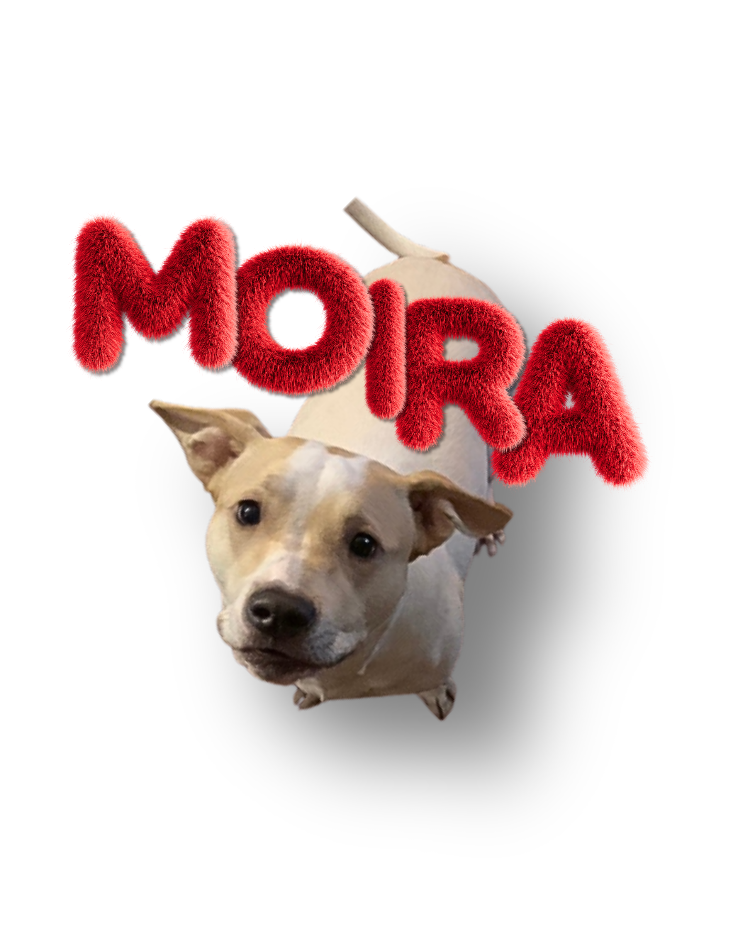 Meryl&Moira-FoodContainerLabels - 3.png