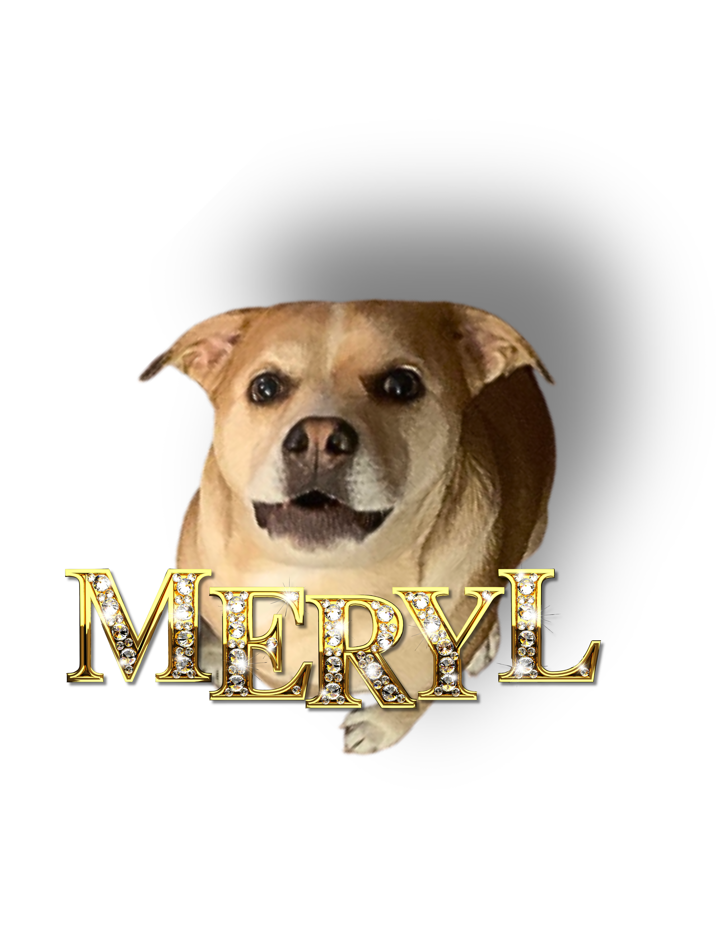 Meryl&Moira-FoodContainerLabels - 4.png