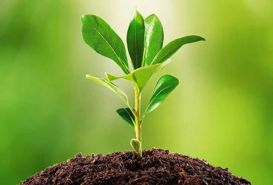 The Nutrition Deep Dive