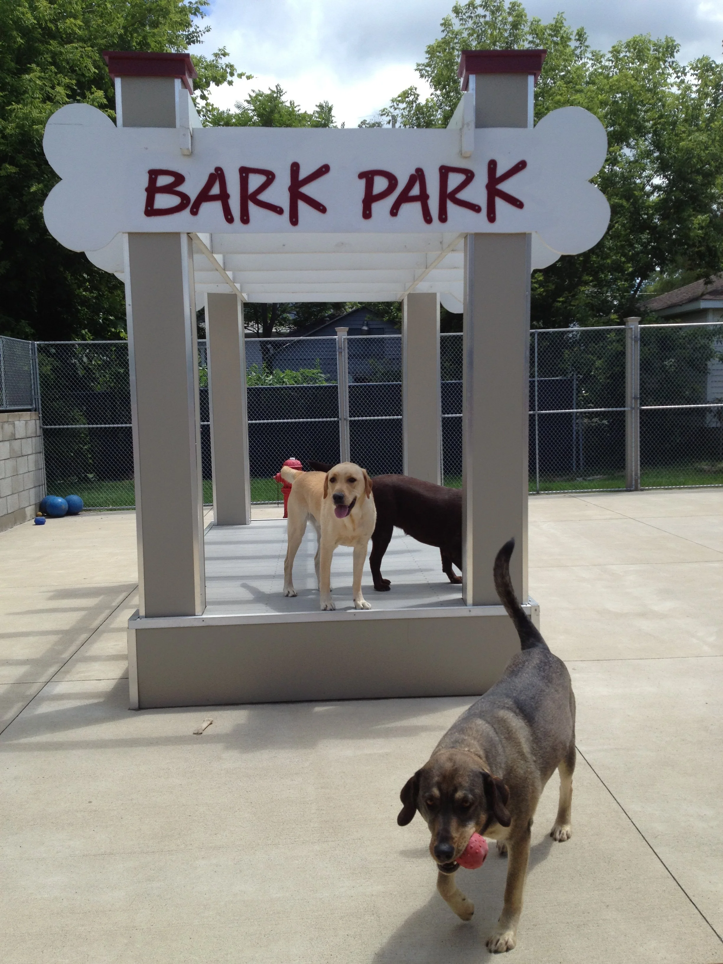 How to Prepare Your Dog for Their First Boarding Stay