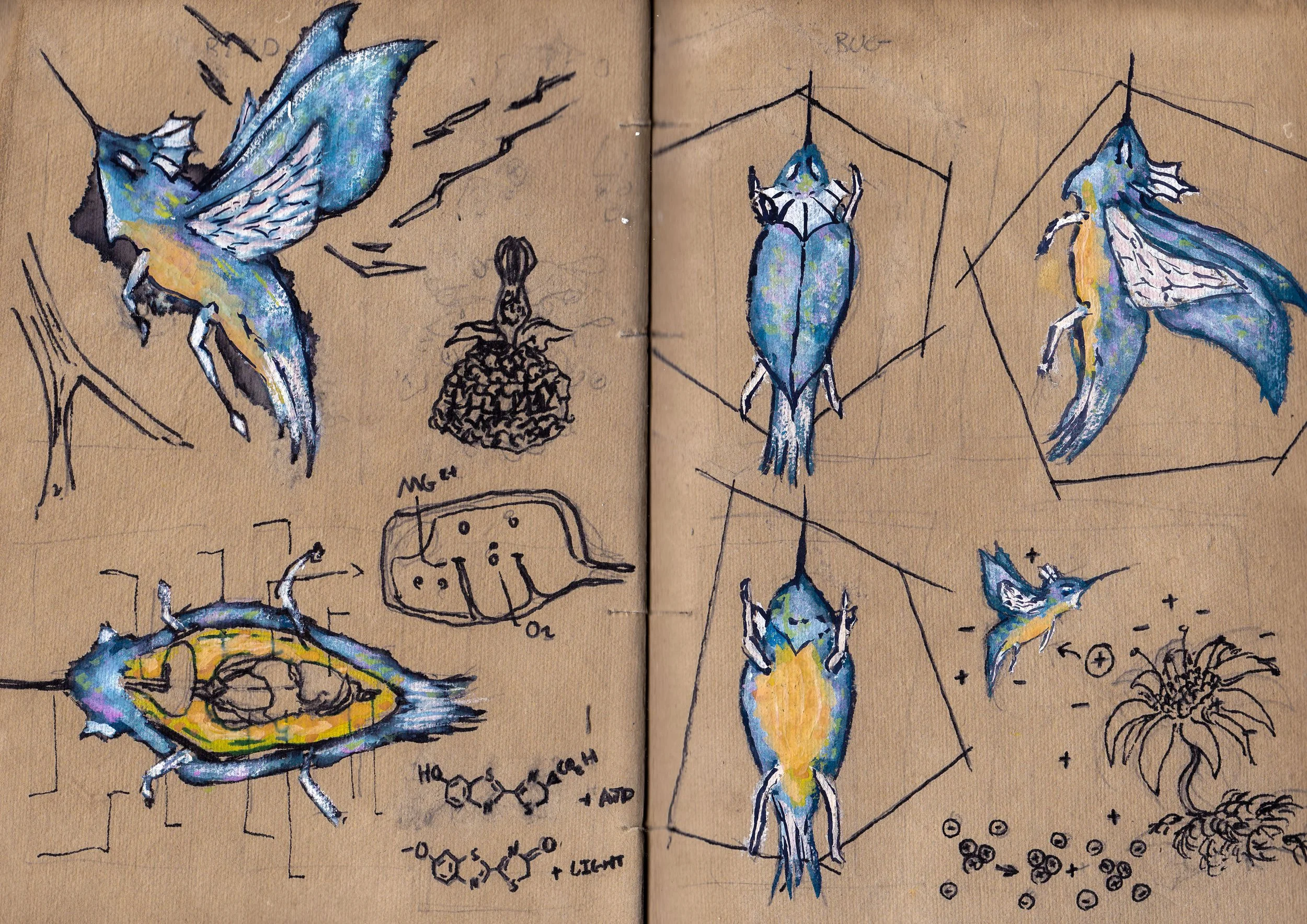 IMG_20250818_0002 - Copy.jpg