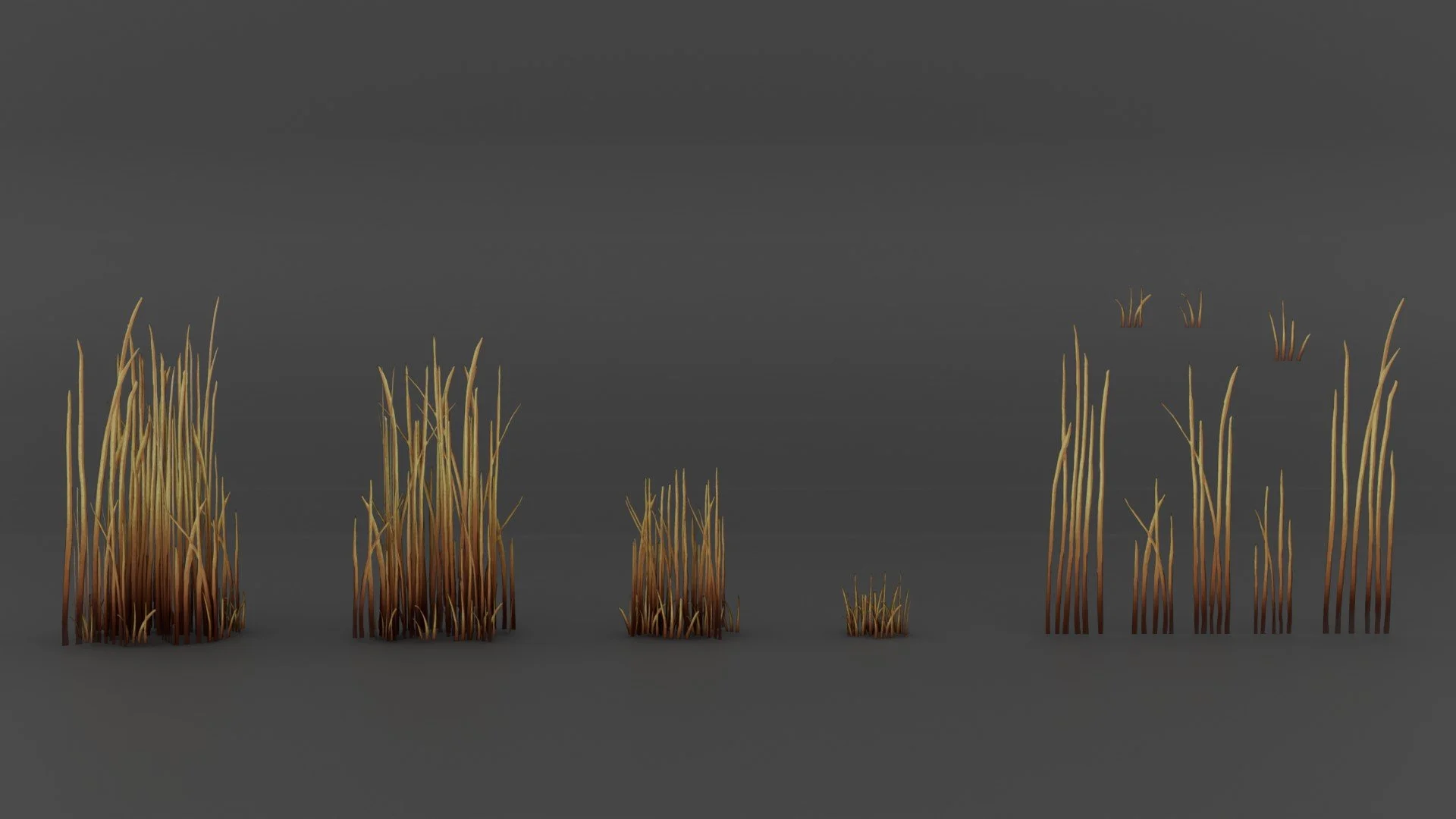 lichen_003_06_1 - Copy.jpg