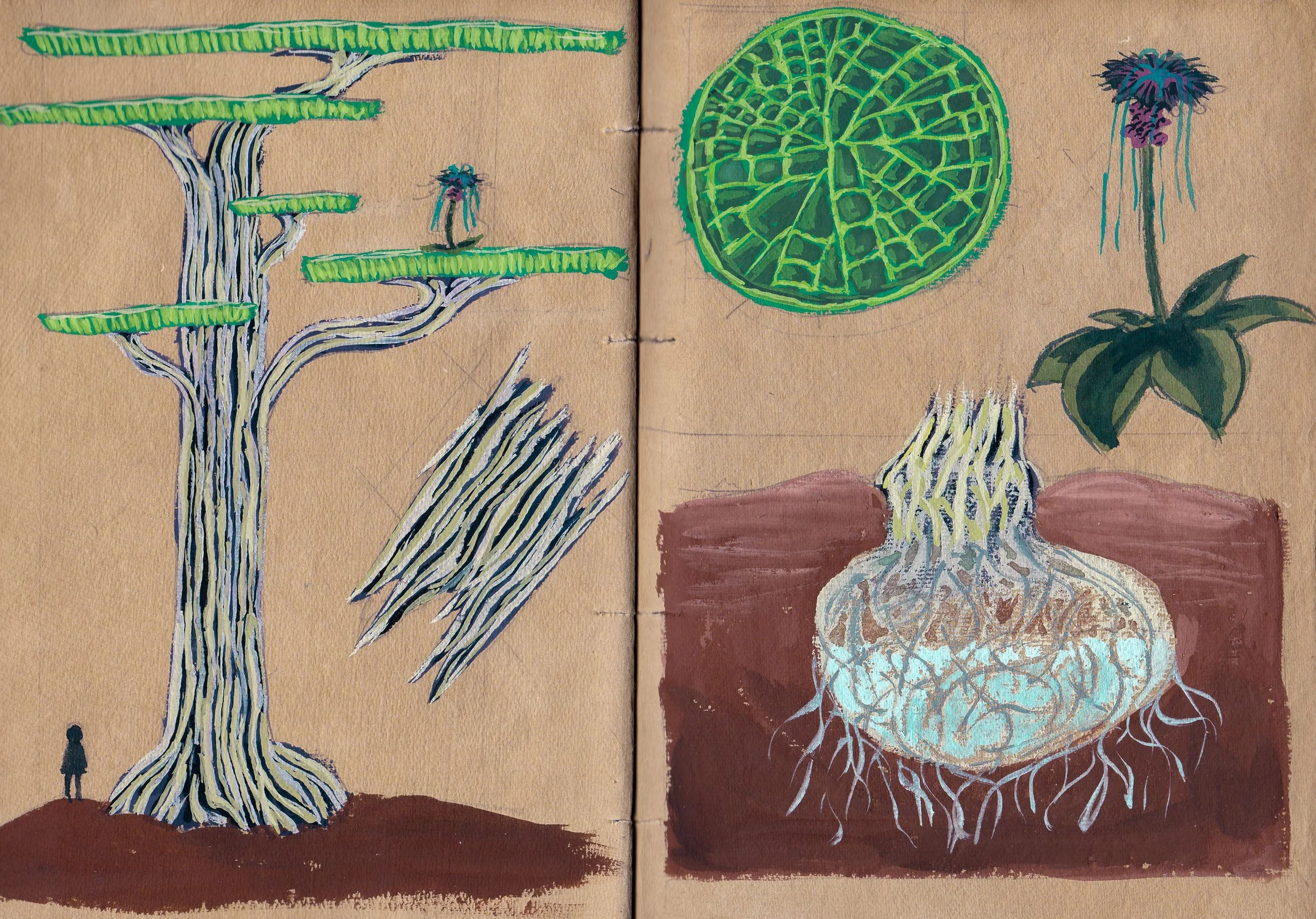 IMG_20250818_0001 - Copy.jpg