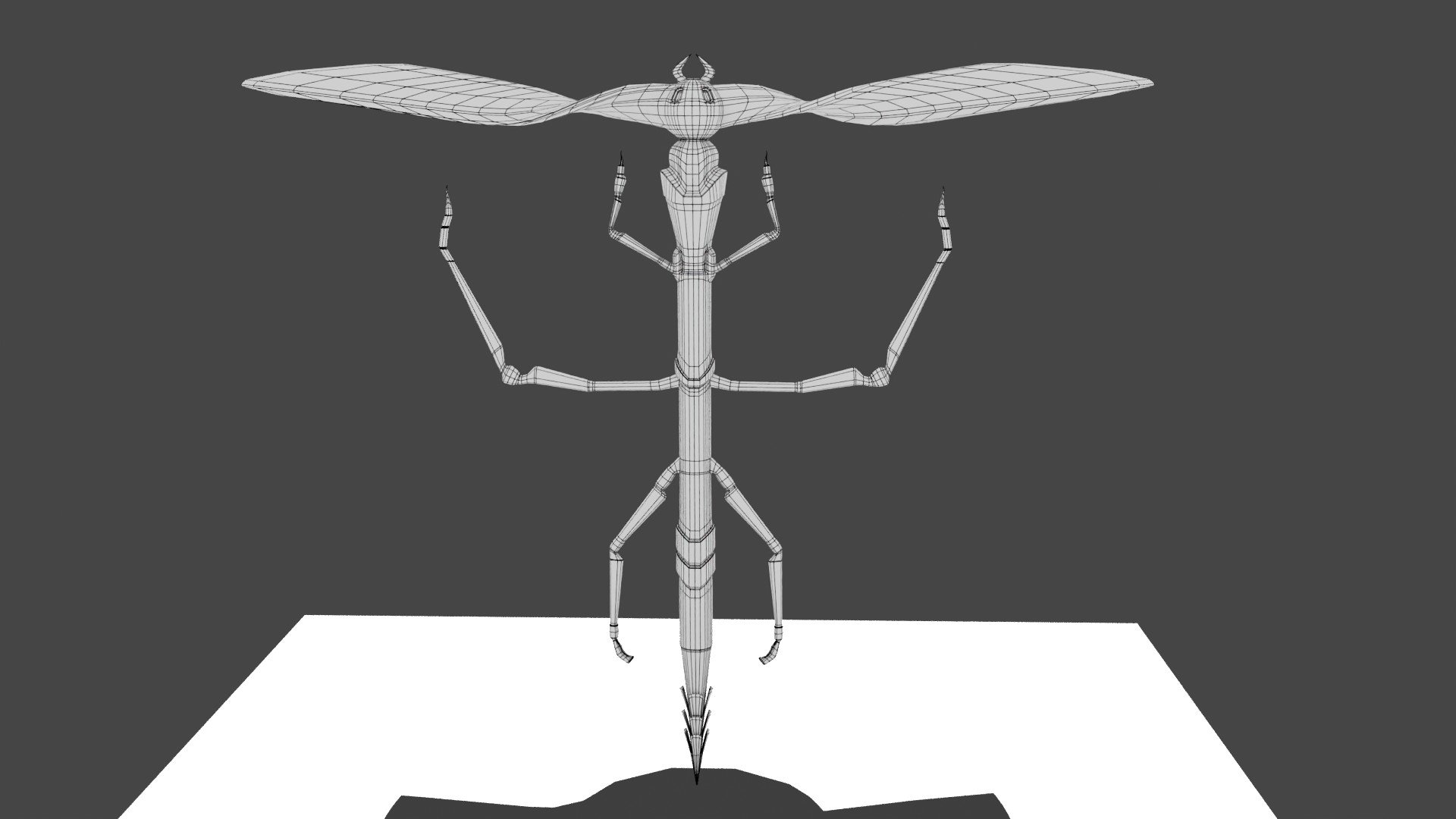 bug_018_export_1 - Copy.jpg