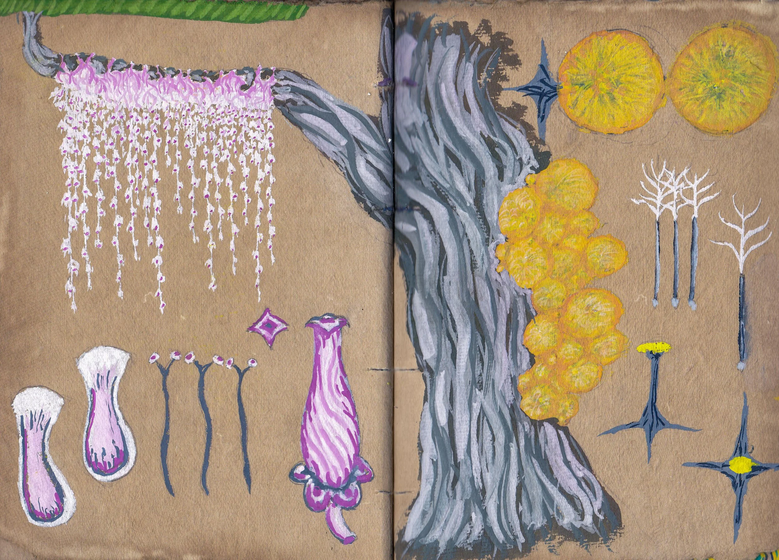 IMG_20250818_0005 - Copy.jpg