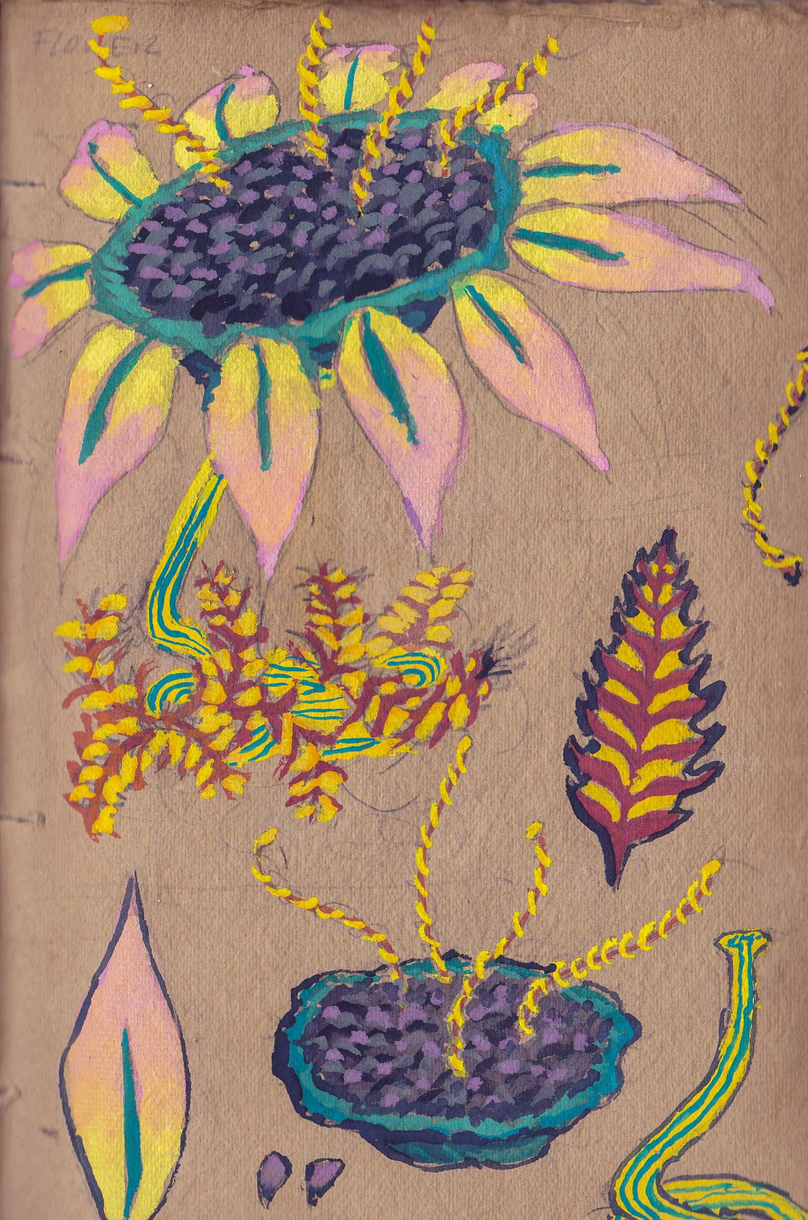 IMG_20250818_000702 - Copy.jpg