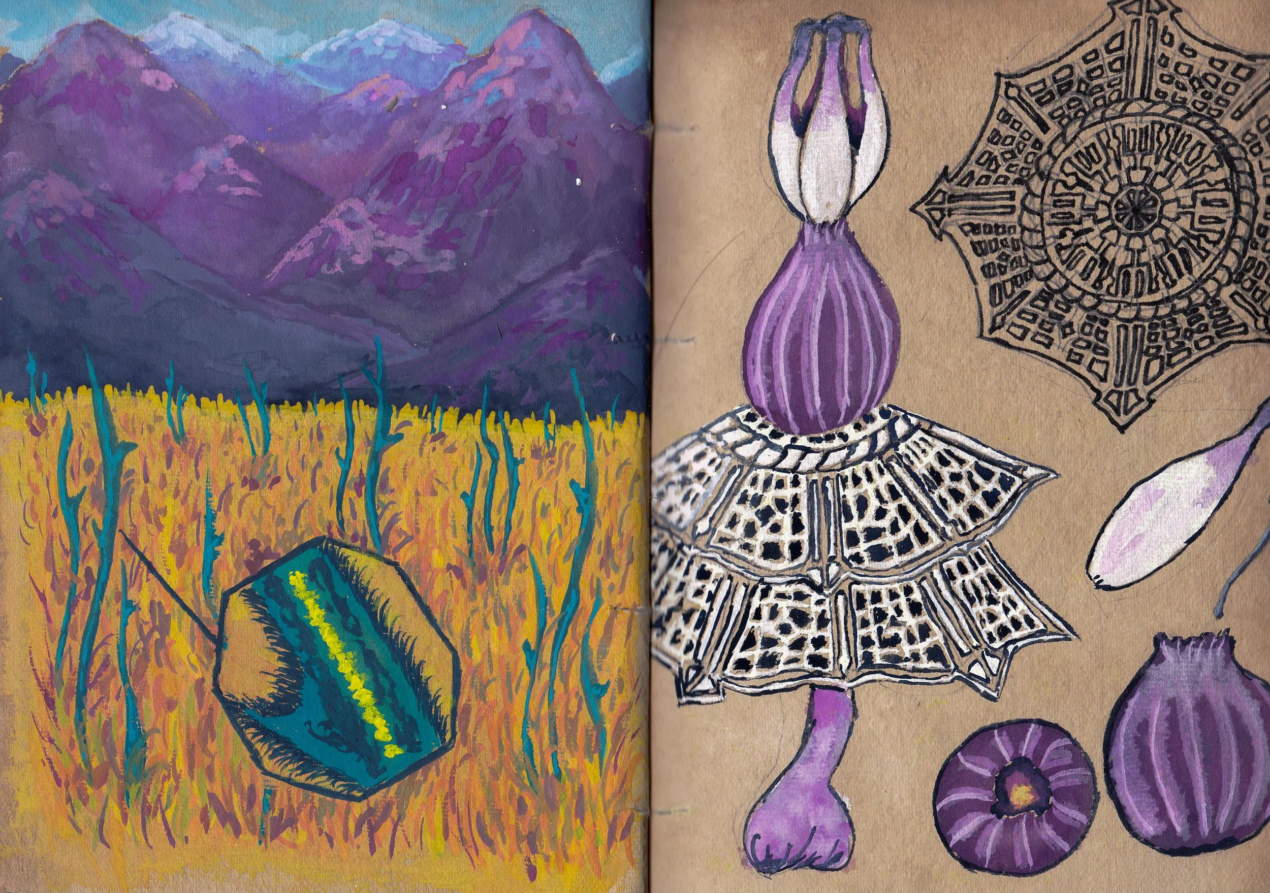 IMG_20250818_0006 - Copy.jpg