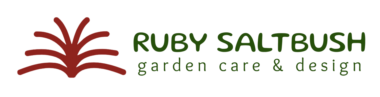 Ruby Saltbush Garden Care &amp; Design