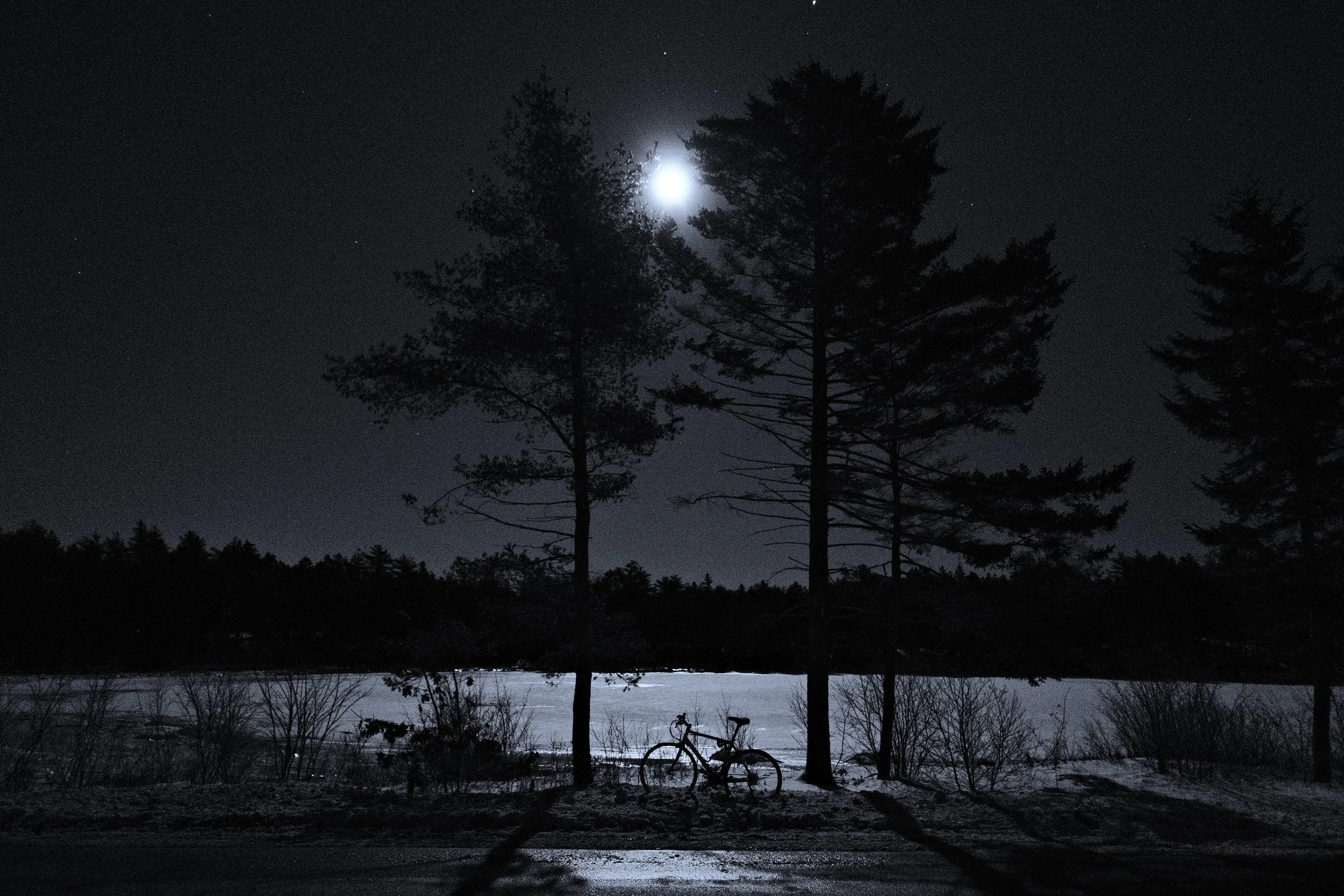 moonlit winter bicycle.JPG