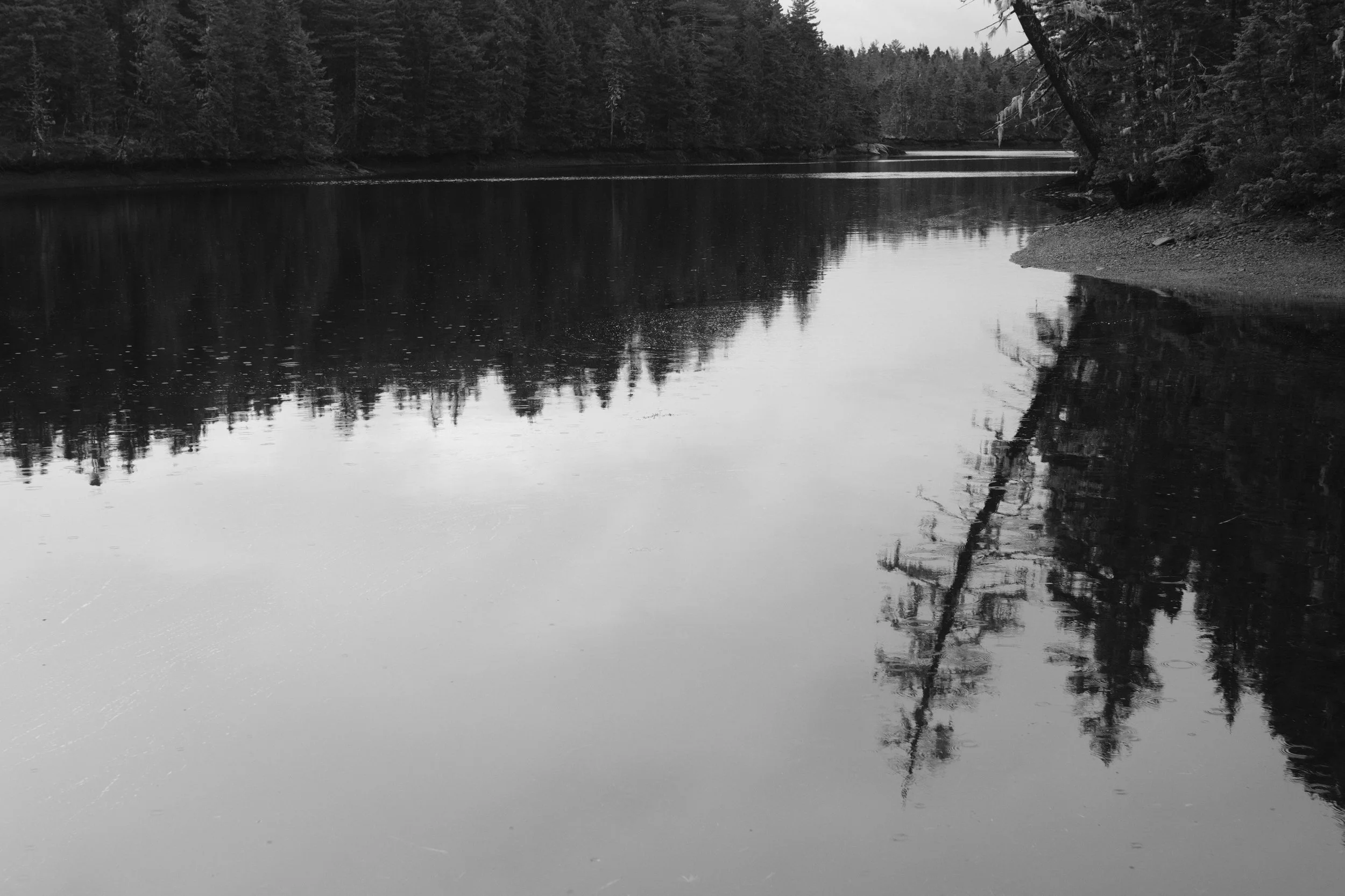 DSCF6735.JPG