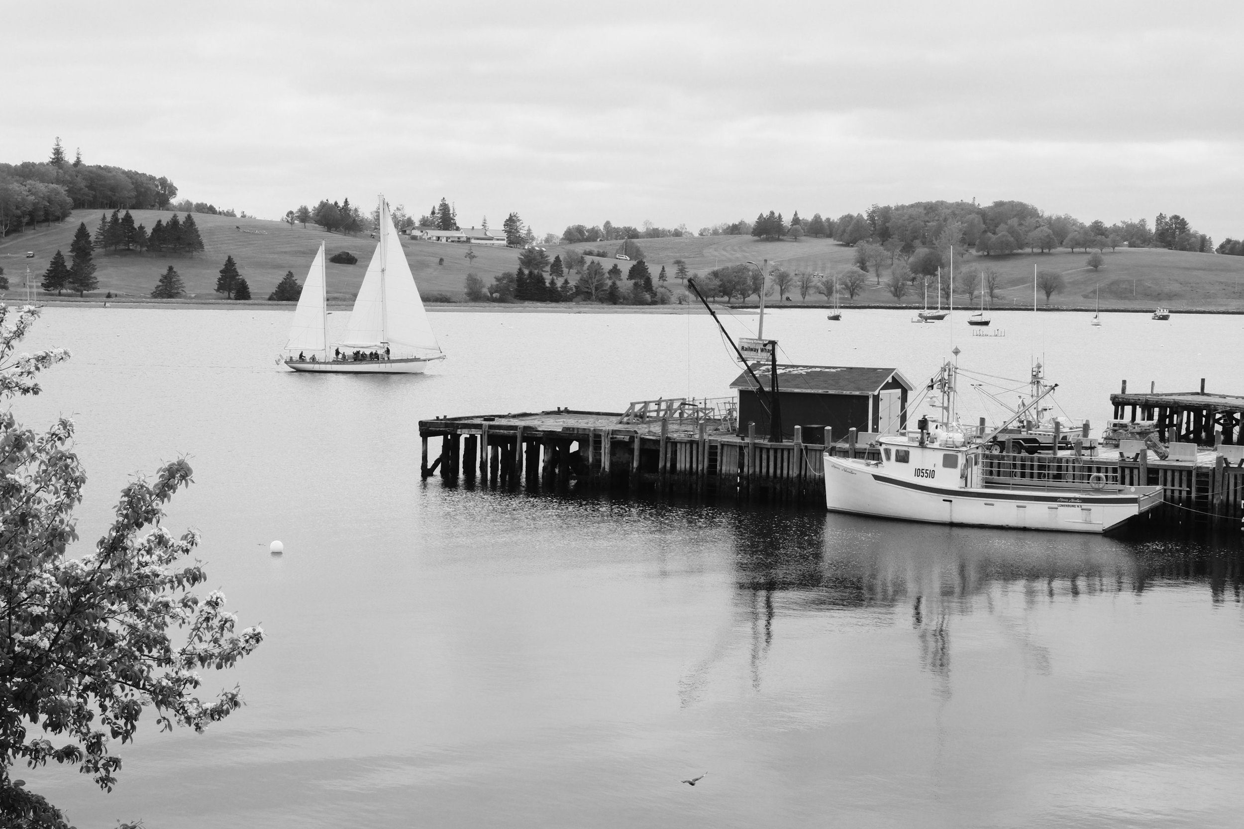 DSCF9654.JPG
