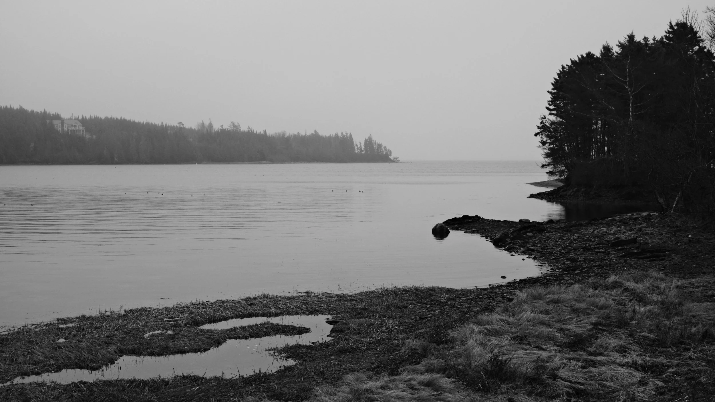 DSCF7600.JPG