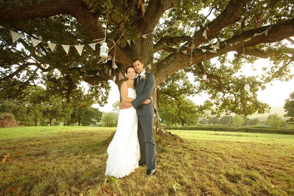 A bride and groom in wedding attire hugging under a large tree decorated with hanging lanterns and bunting, in a grassy field during sunset.