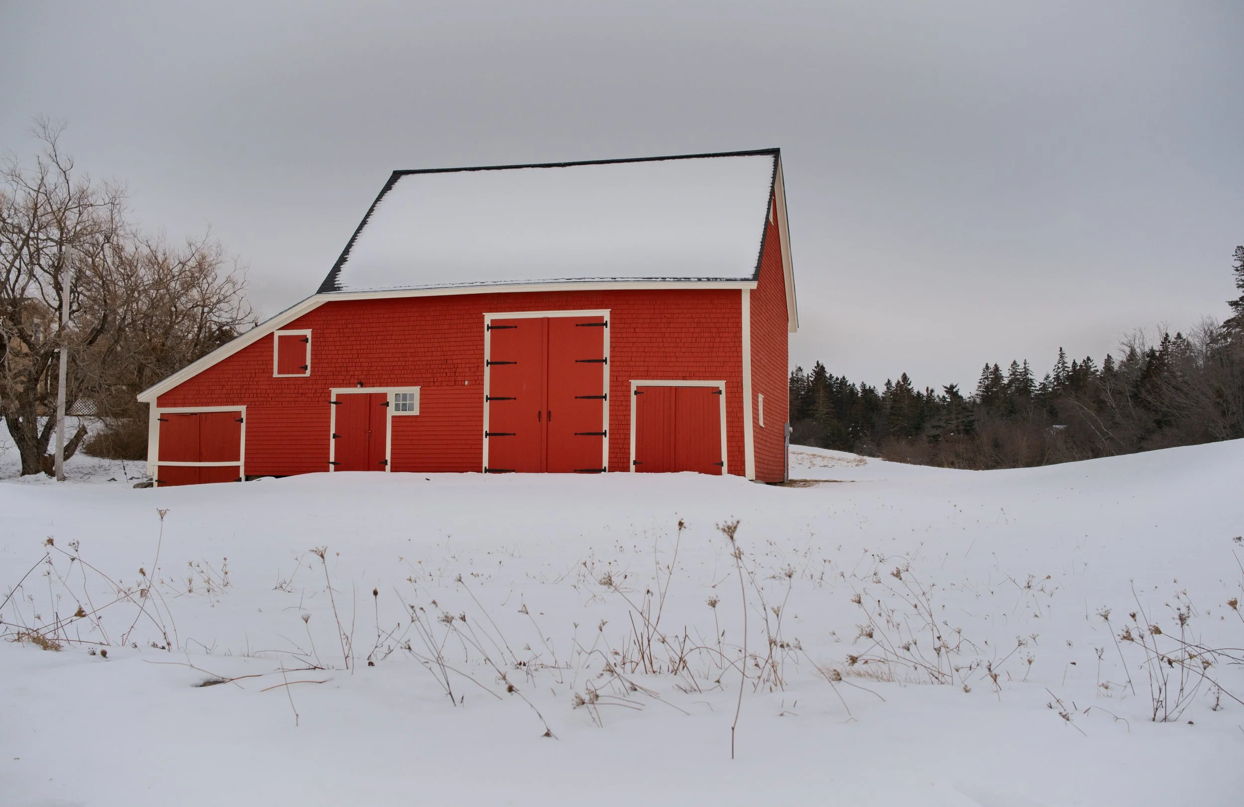 A red barn covered in snow on a cloudy day, with leafless trees and a forest background.
