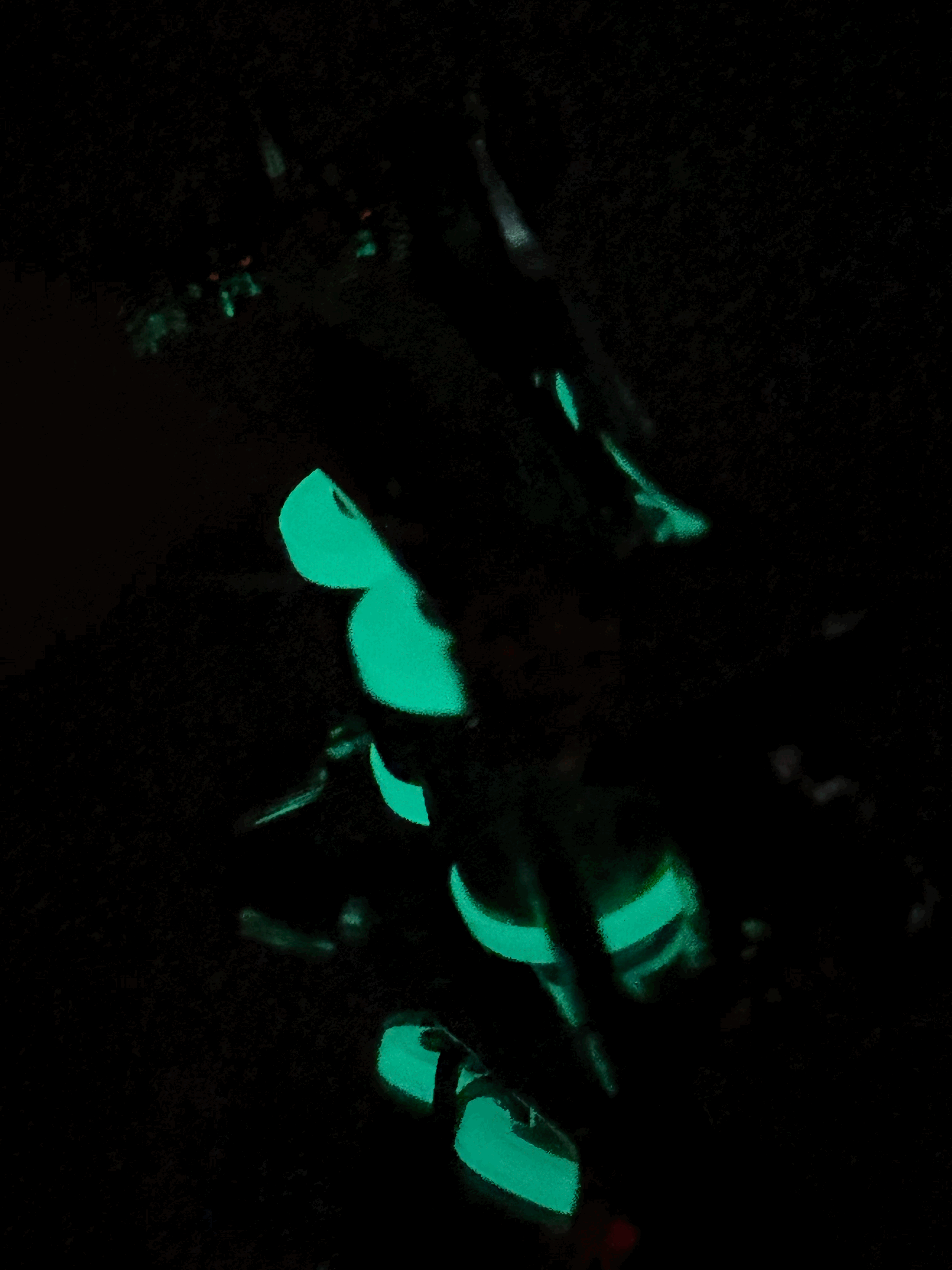 tempImageXEvg8j.gif