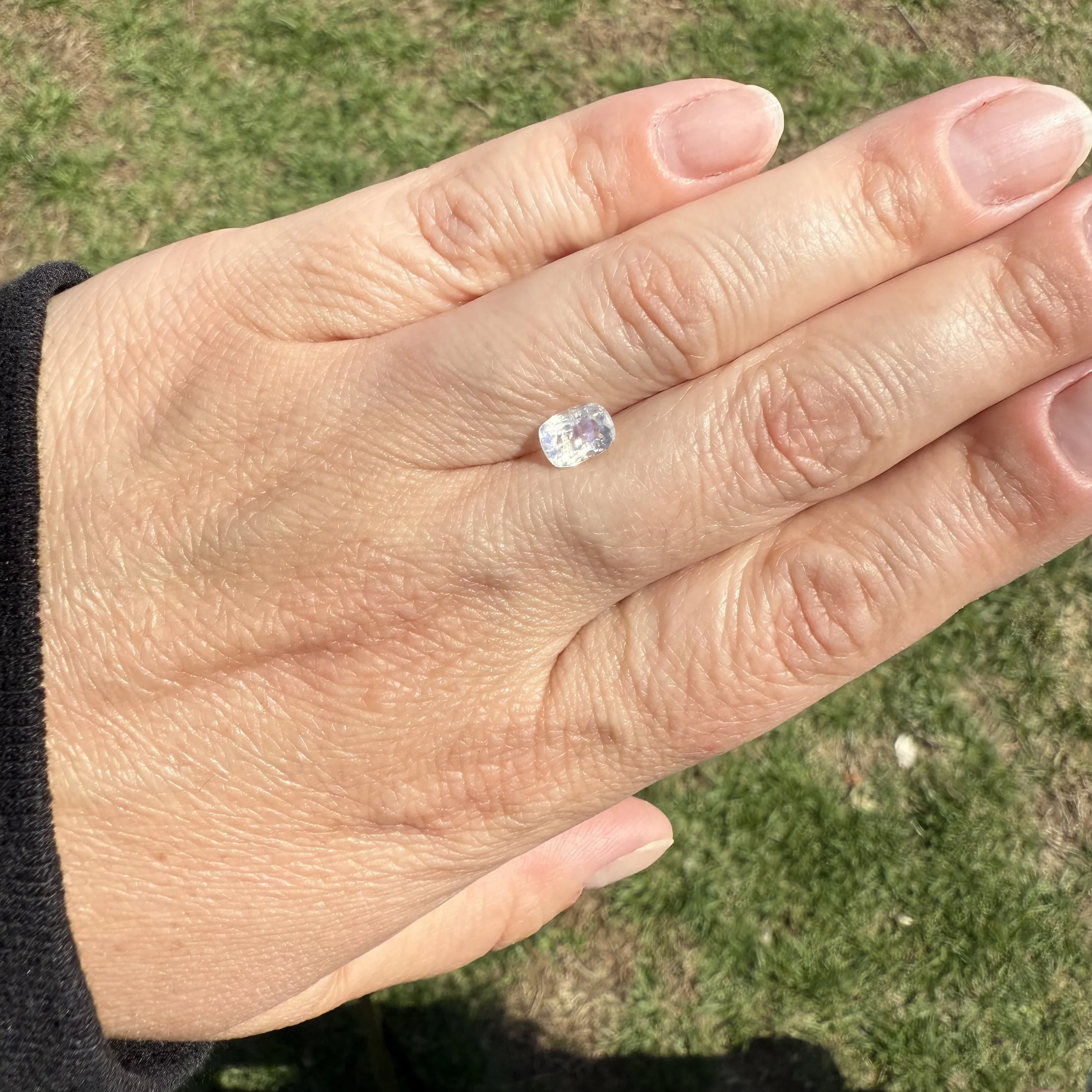 IMG_0949.jpeg
