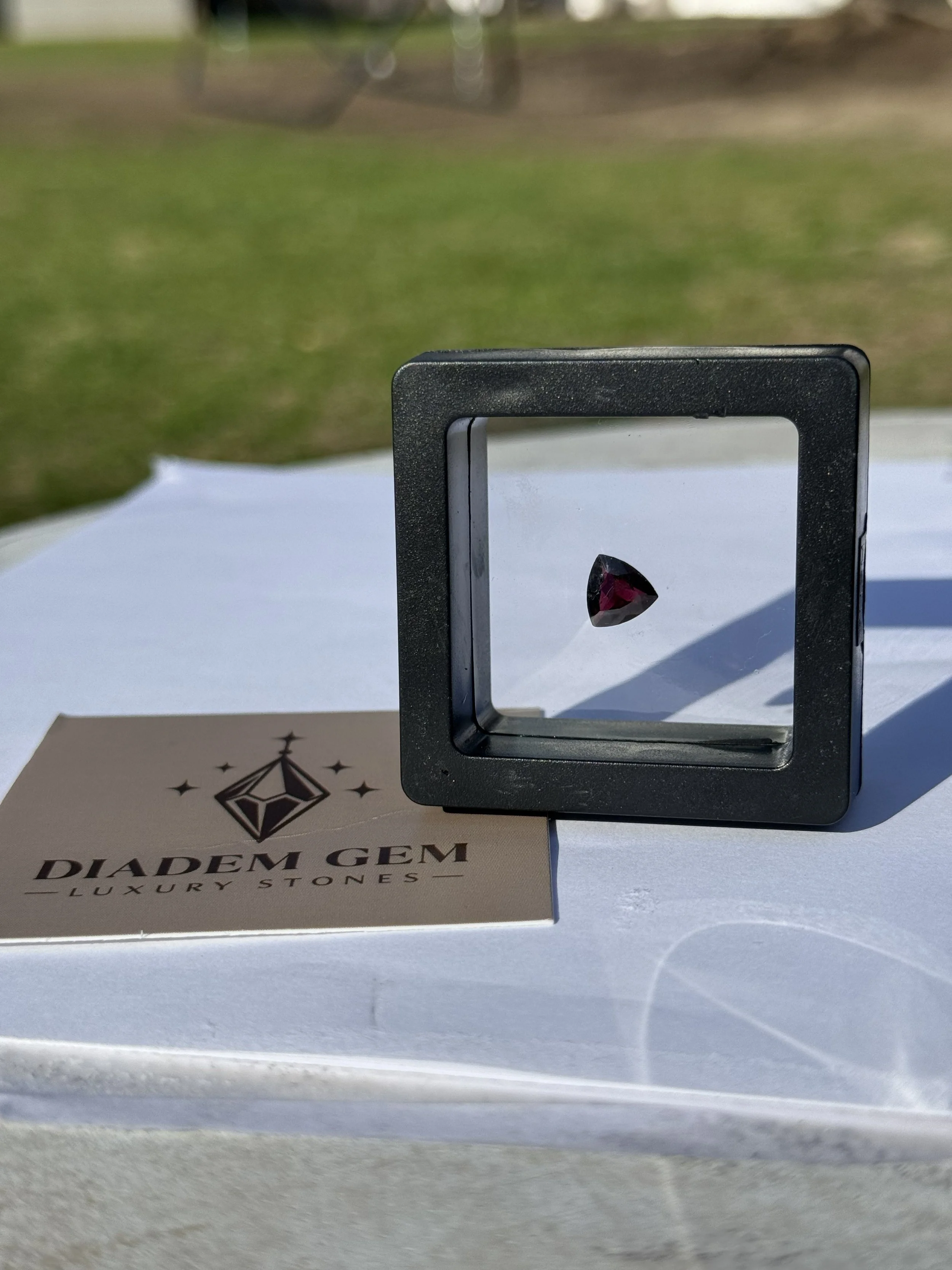 Mozambique Garnet