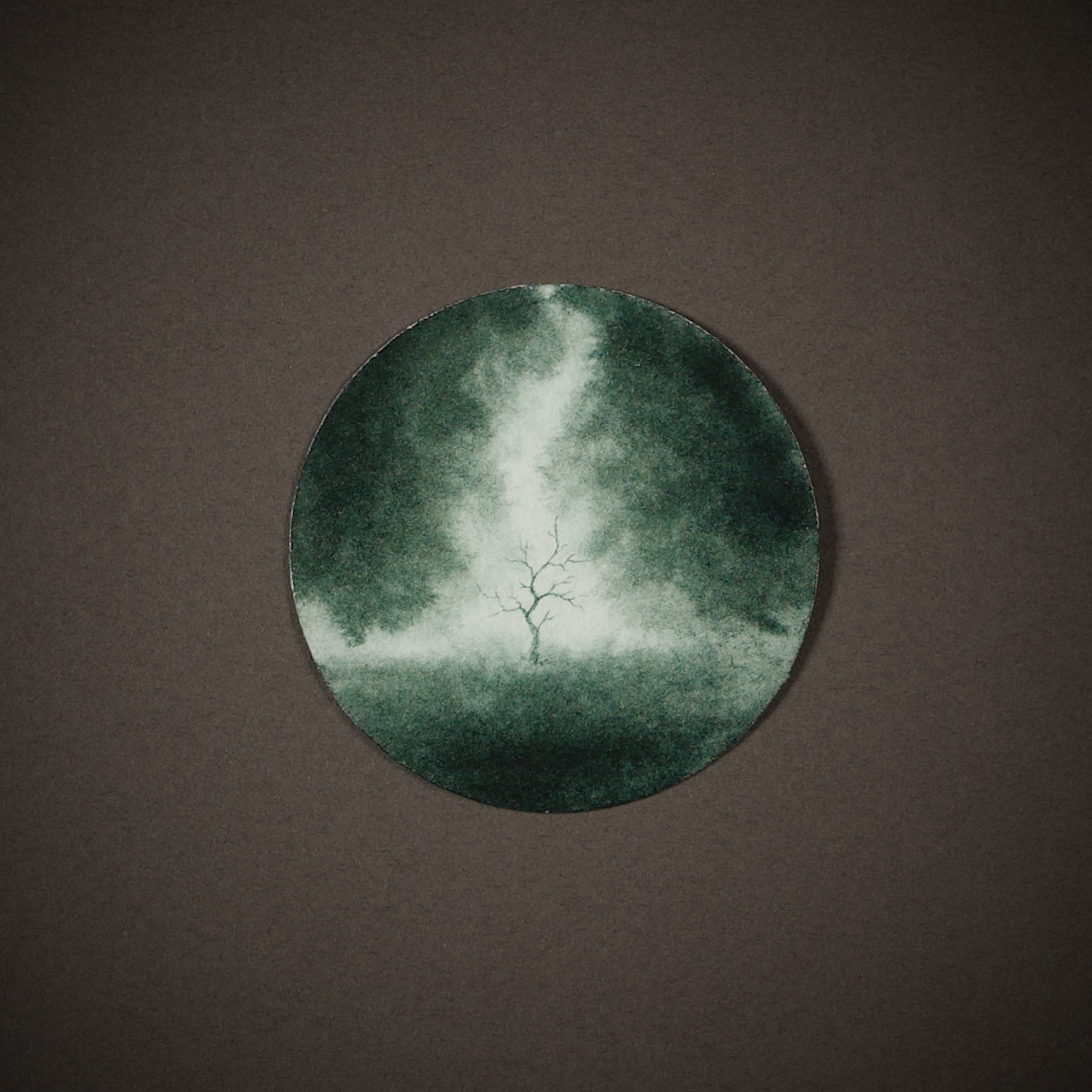 DSC00002.png