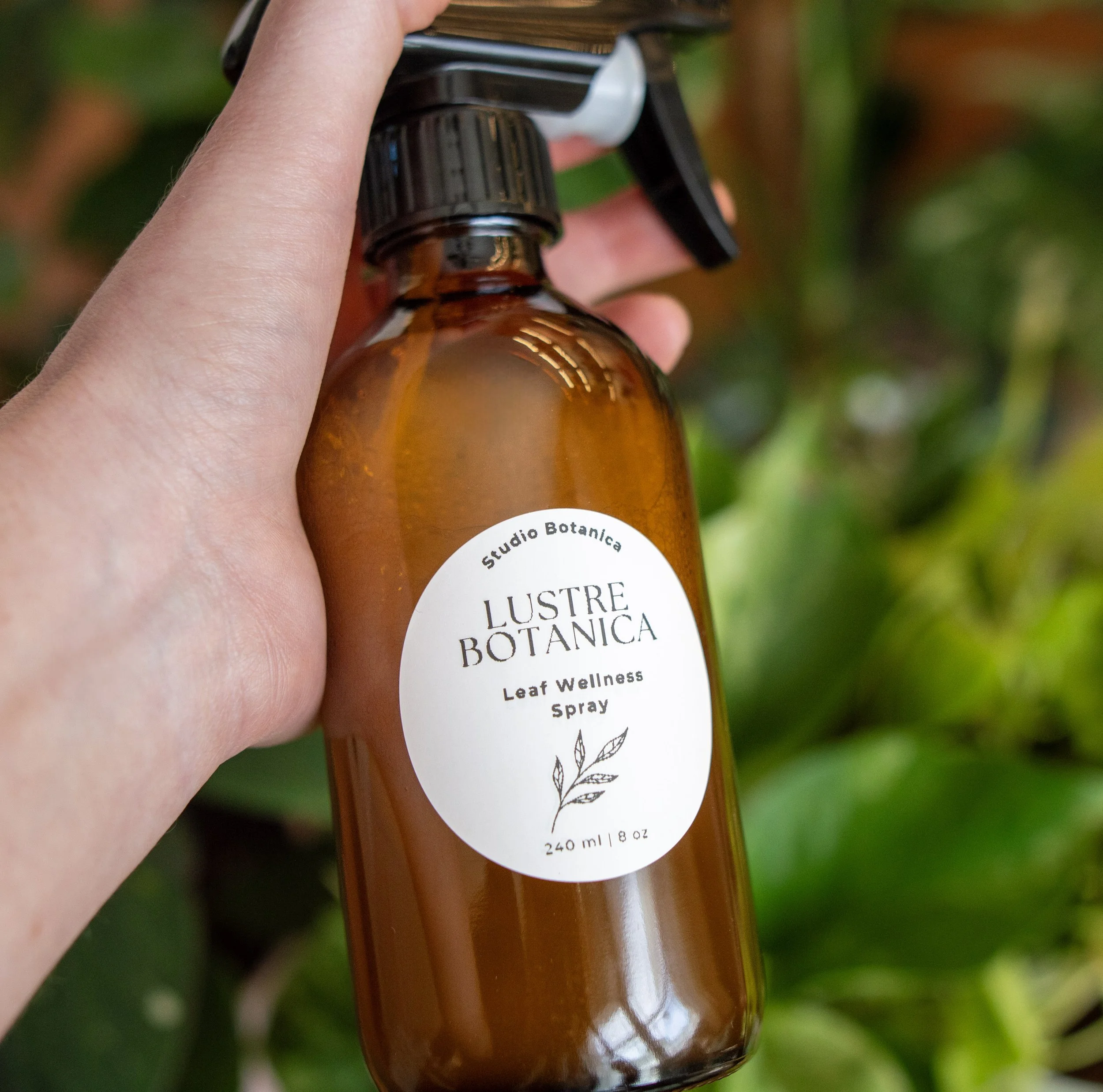 Lustre Botanica