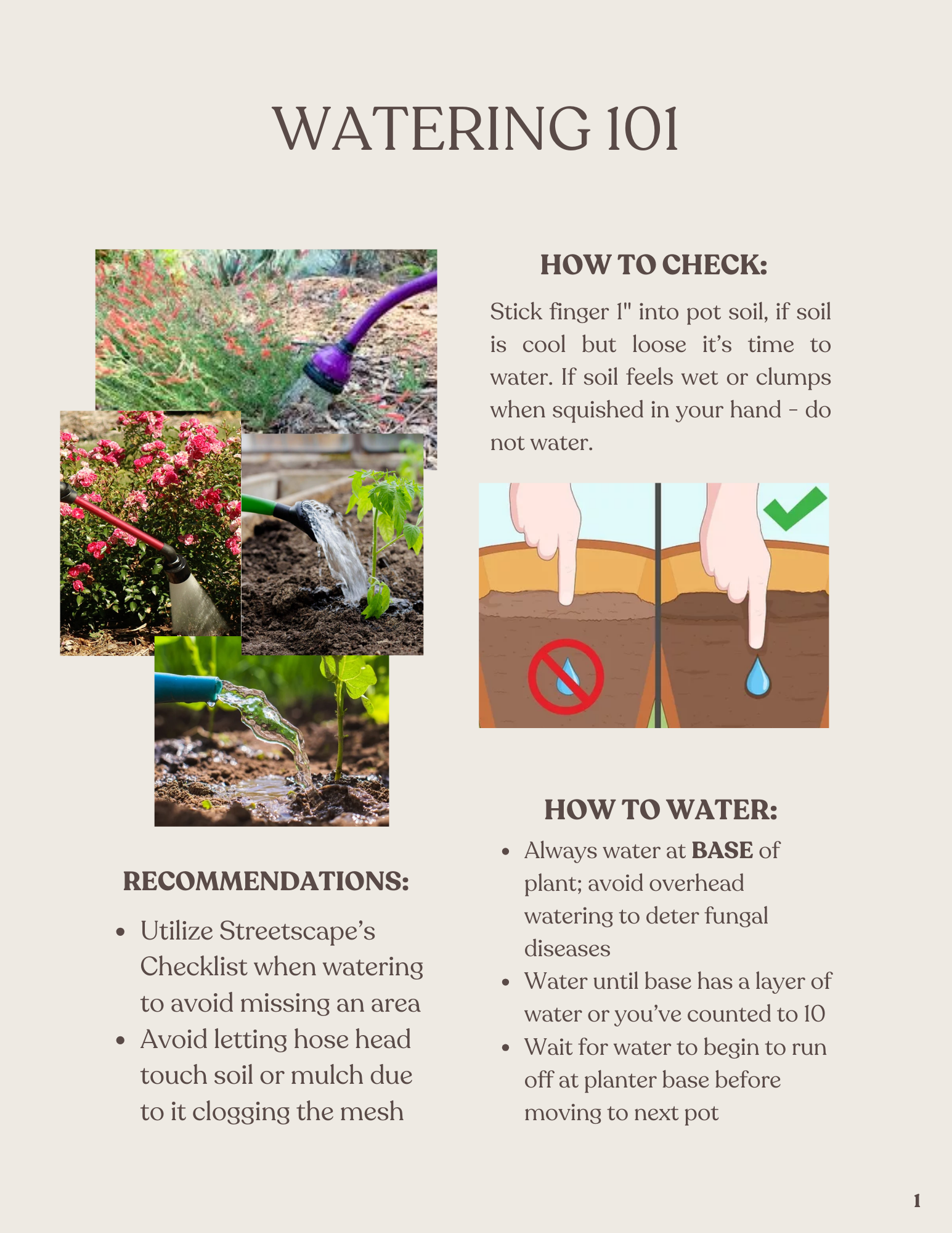 A gardening guide titled 'Watering 101' with instructions on how to check soil moisture and recommended watering practices, including images of watering plants and soil.