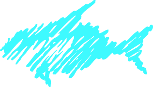 Silhouette of a fish outline in blue on a black background.