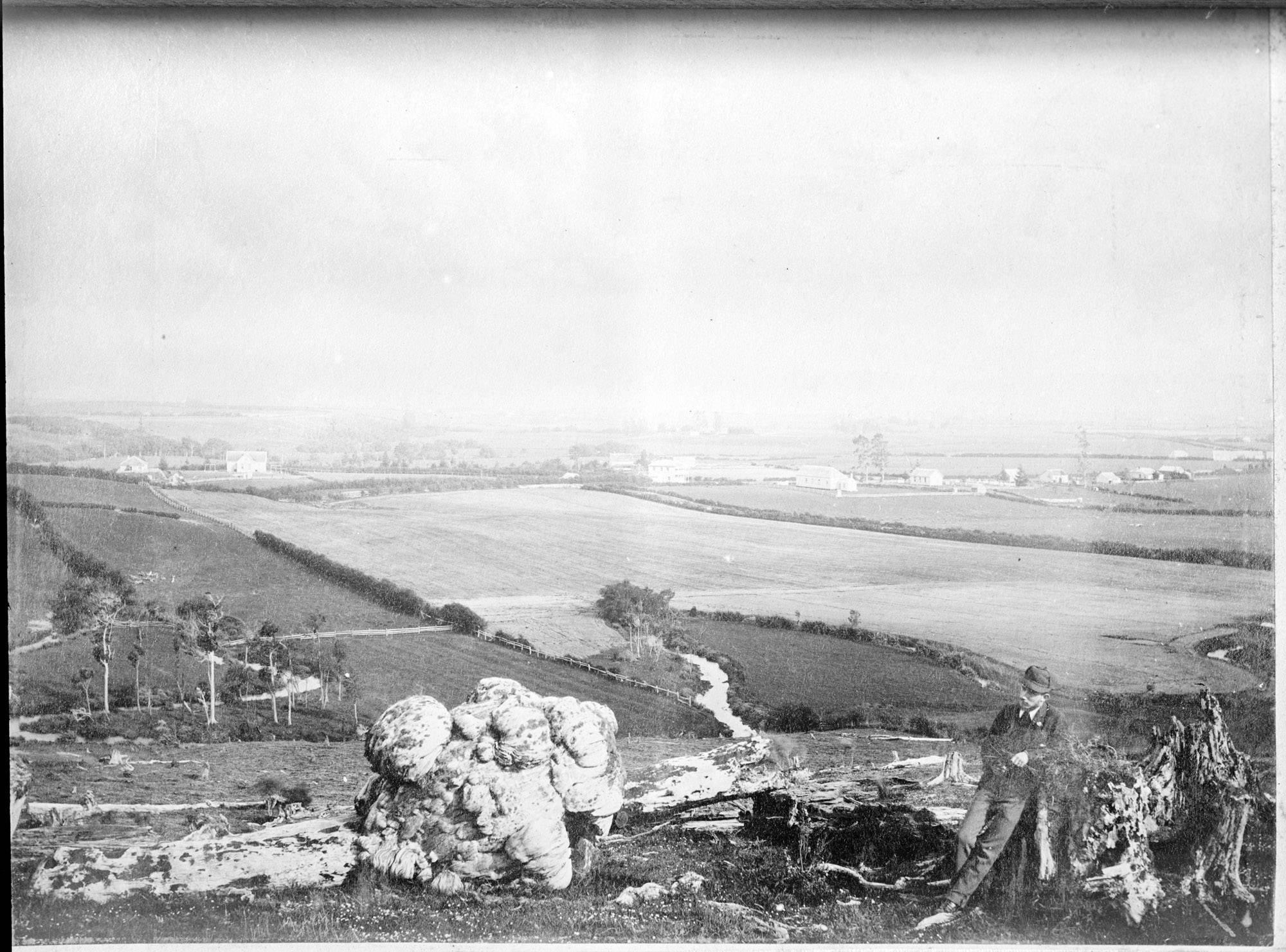 Wairoa South late 1800’s, viewed from Thorp’s Hill