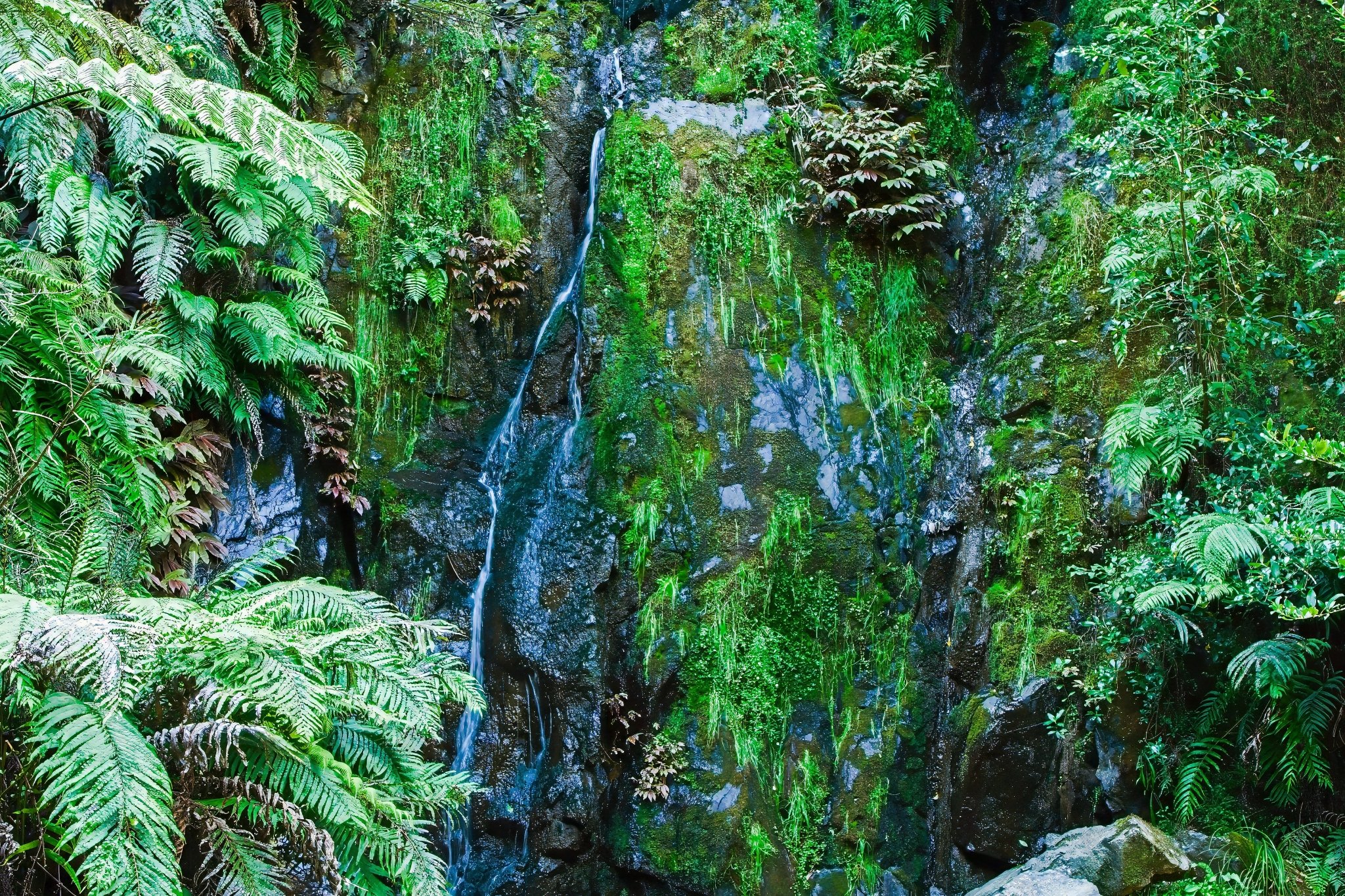 Waterfall in Thorp's Quarry, 2026, photo by Donna Jepsen