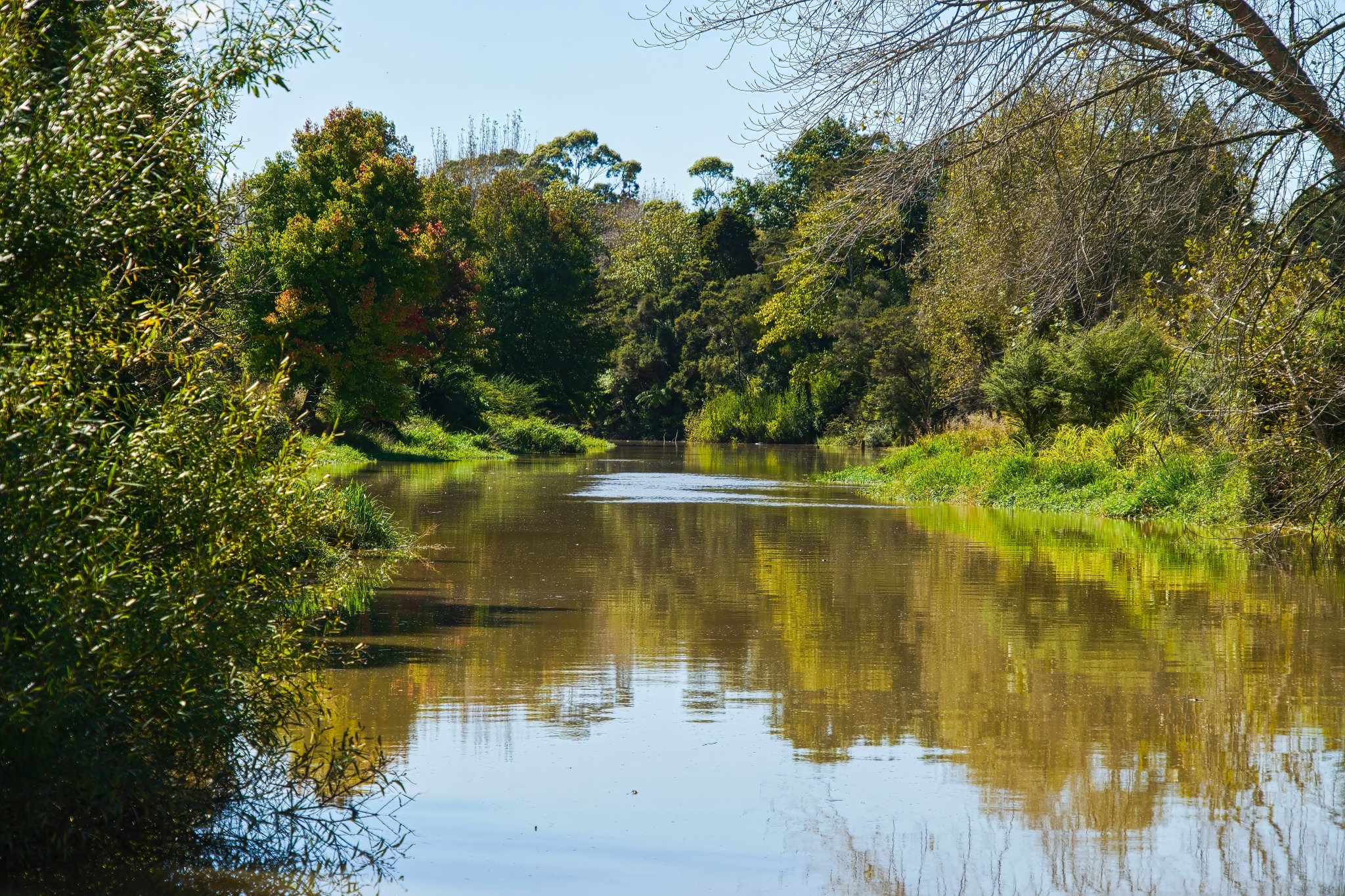 Wairoa River, 2026, photo by Donna Jepsen