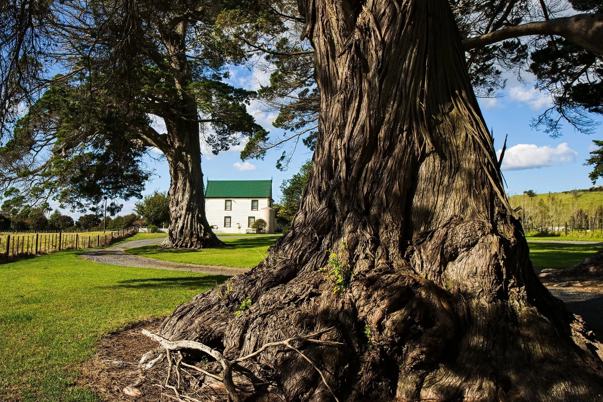 McNicol Homestead Museum, 2026, photo by Donna Jepsen