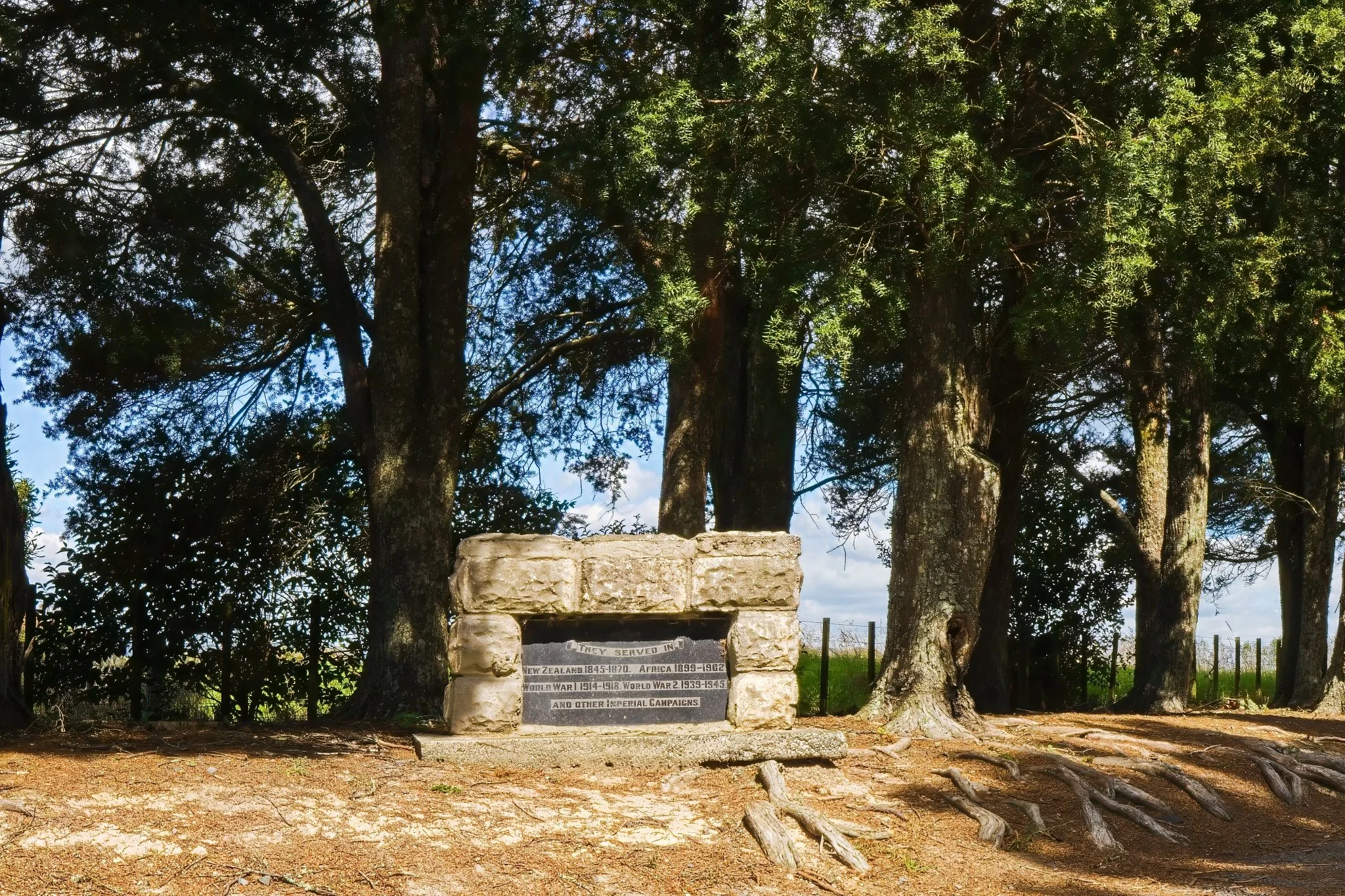 Totara Avenue, 2026. D M Jepsen Photography.jpg