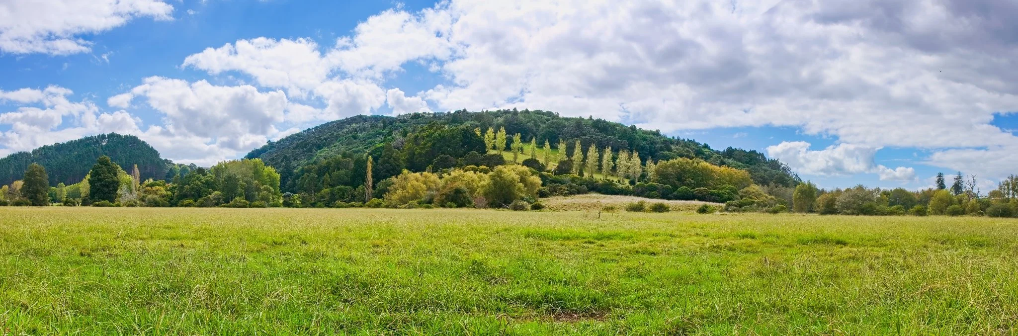 Panorama of Te Nikau Pā