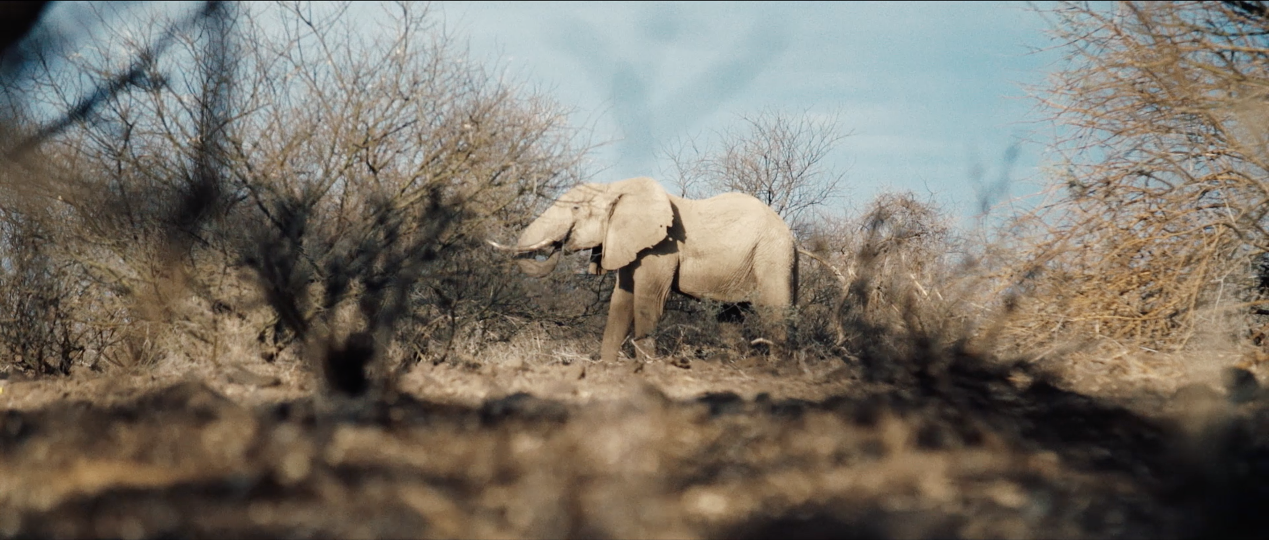 Screen Shot 2020-08-19 at 5.44.54 PM.png