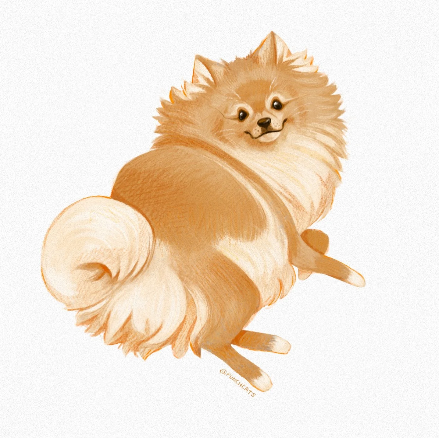 my dawg 🤝

&bull;

#pomeranian #illustration #illustrator #kidlit #dogart