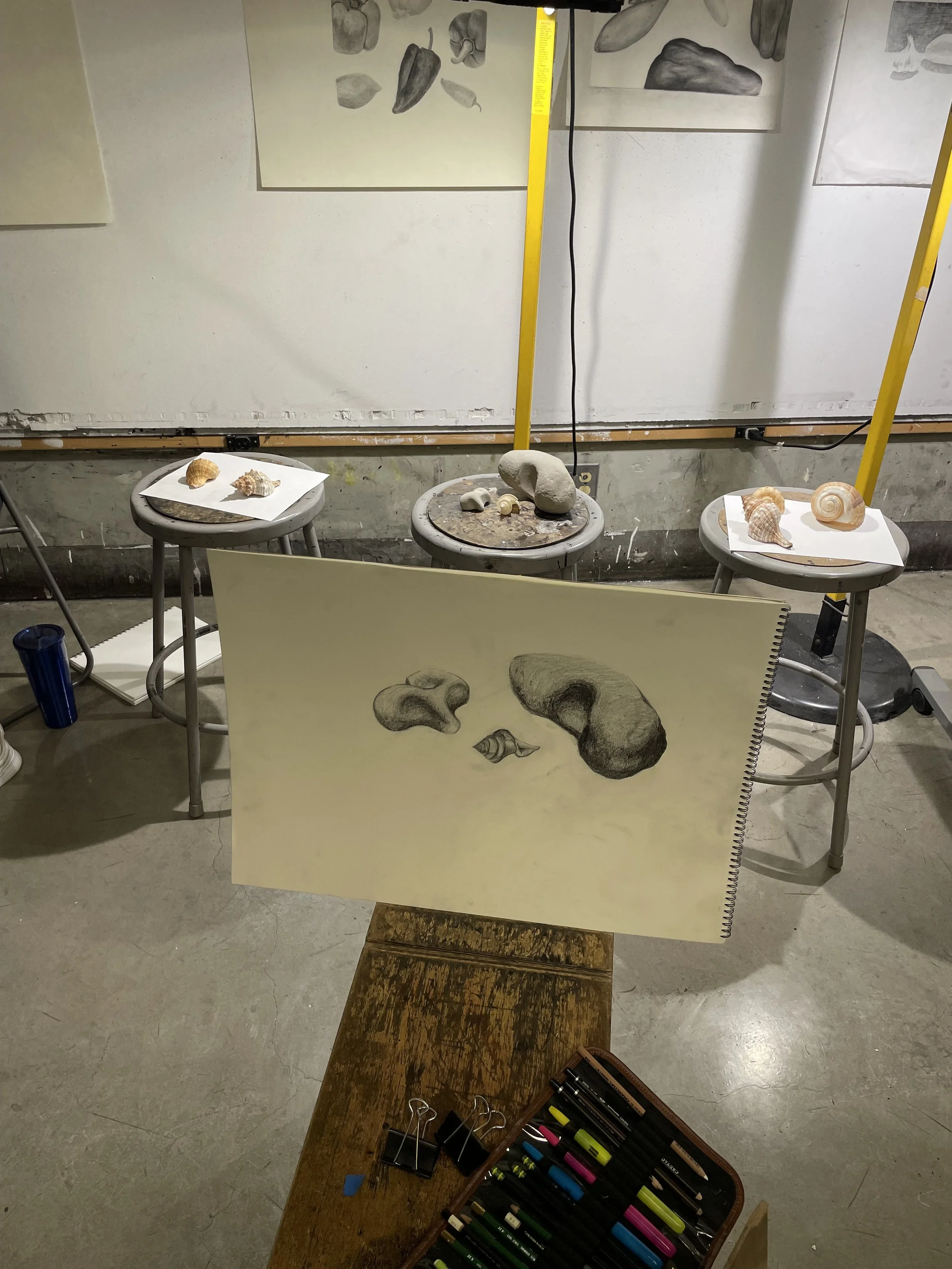 Milestone donation $20