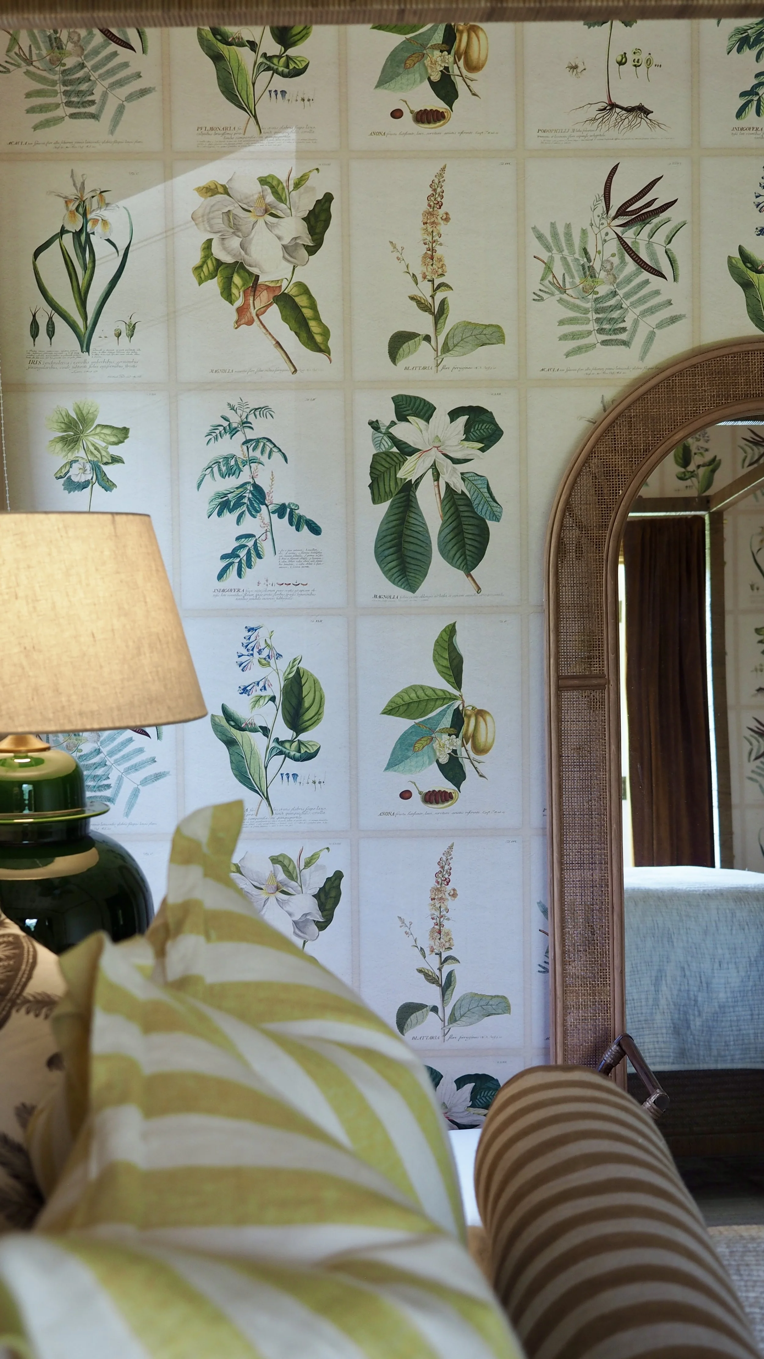 Interior view of a room with botanical illustrations of various plant species on the wall, a mirror with a rattan frame, a green lamp with a beige lampshade, and a striped yellow and white pillow in the foreground.