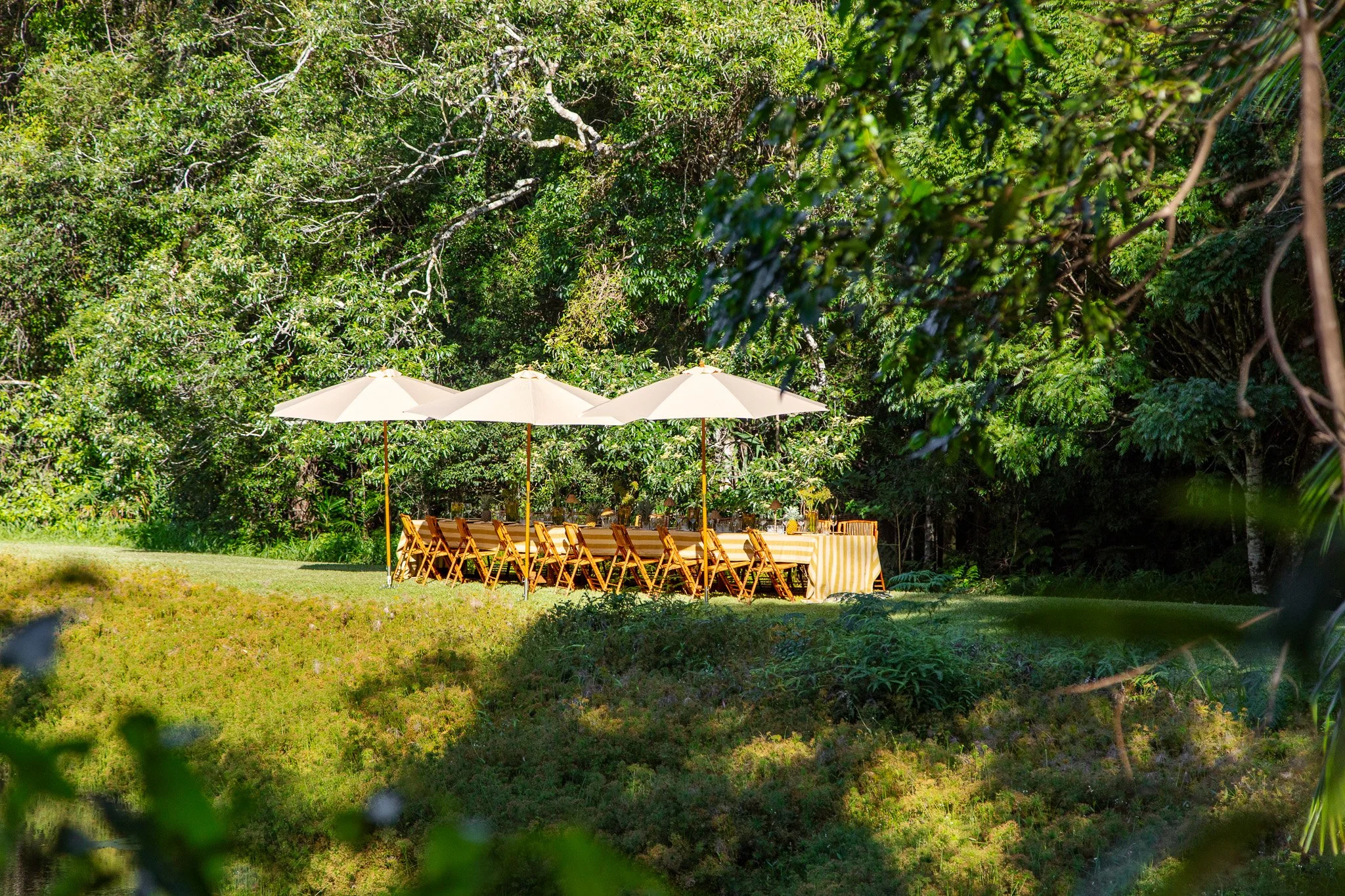 Outdoor dining setup with a long table, chairs, white umbrellas, on a lush green grassy area surrounded by trees.