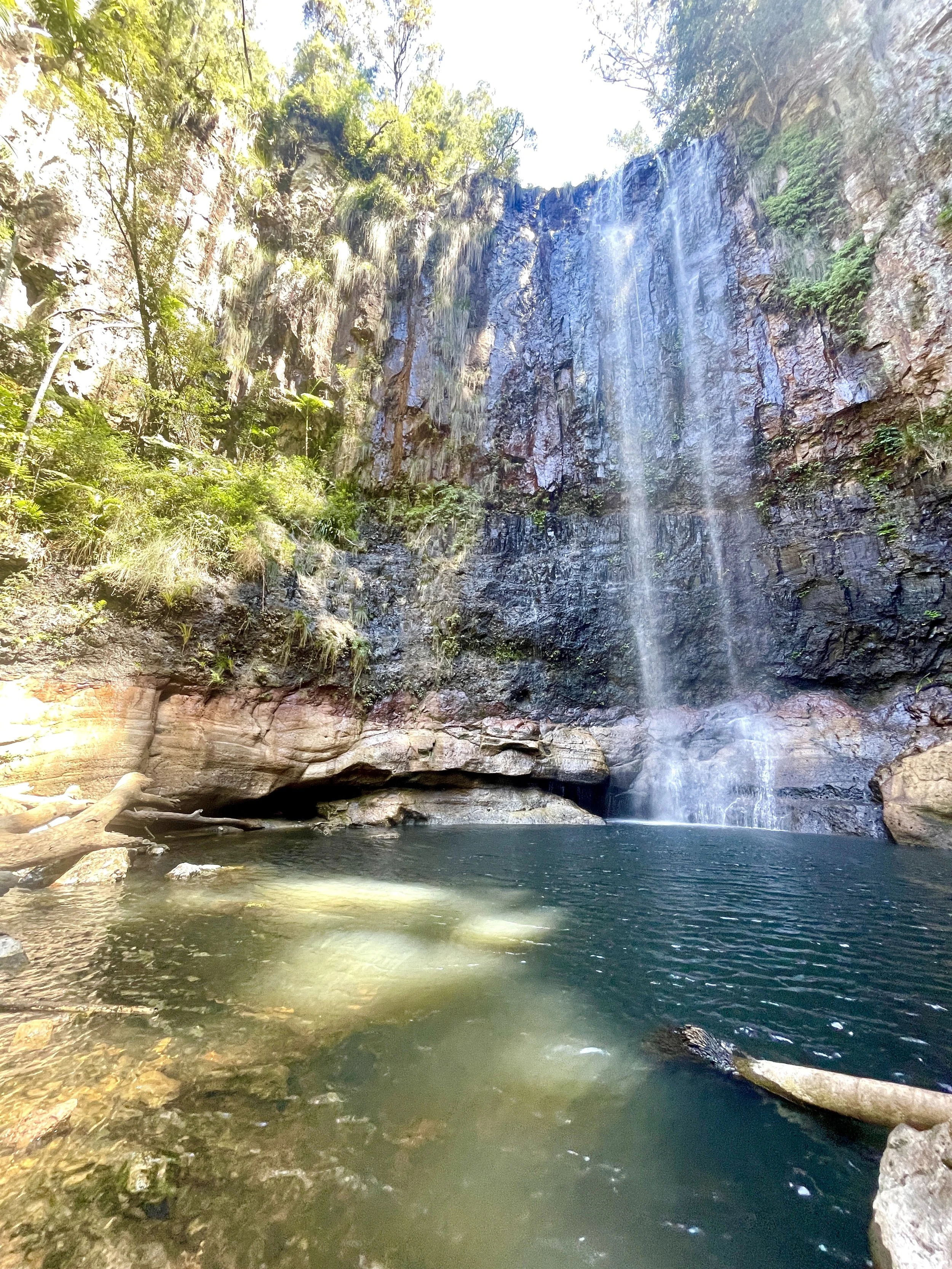 A waterfall flowing into a small pond in a lush, green forest with sunlight shining through trees.