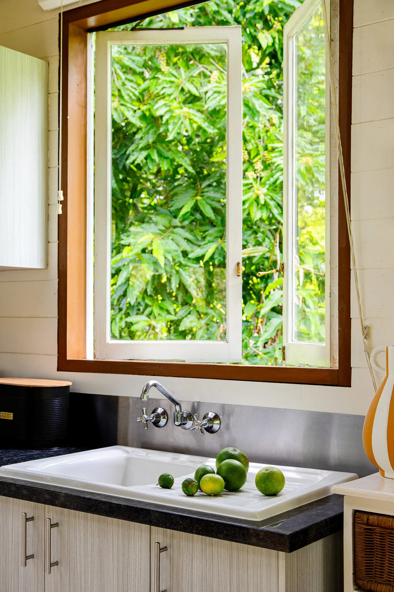 A kitchen sink with several green limes and a lemon inside, with an open window revealing lush green foliage outside.