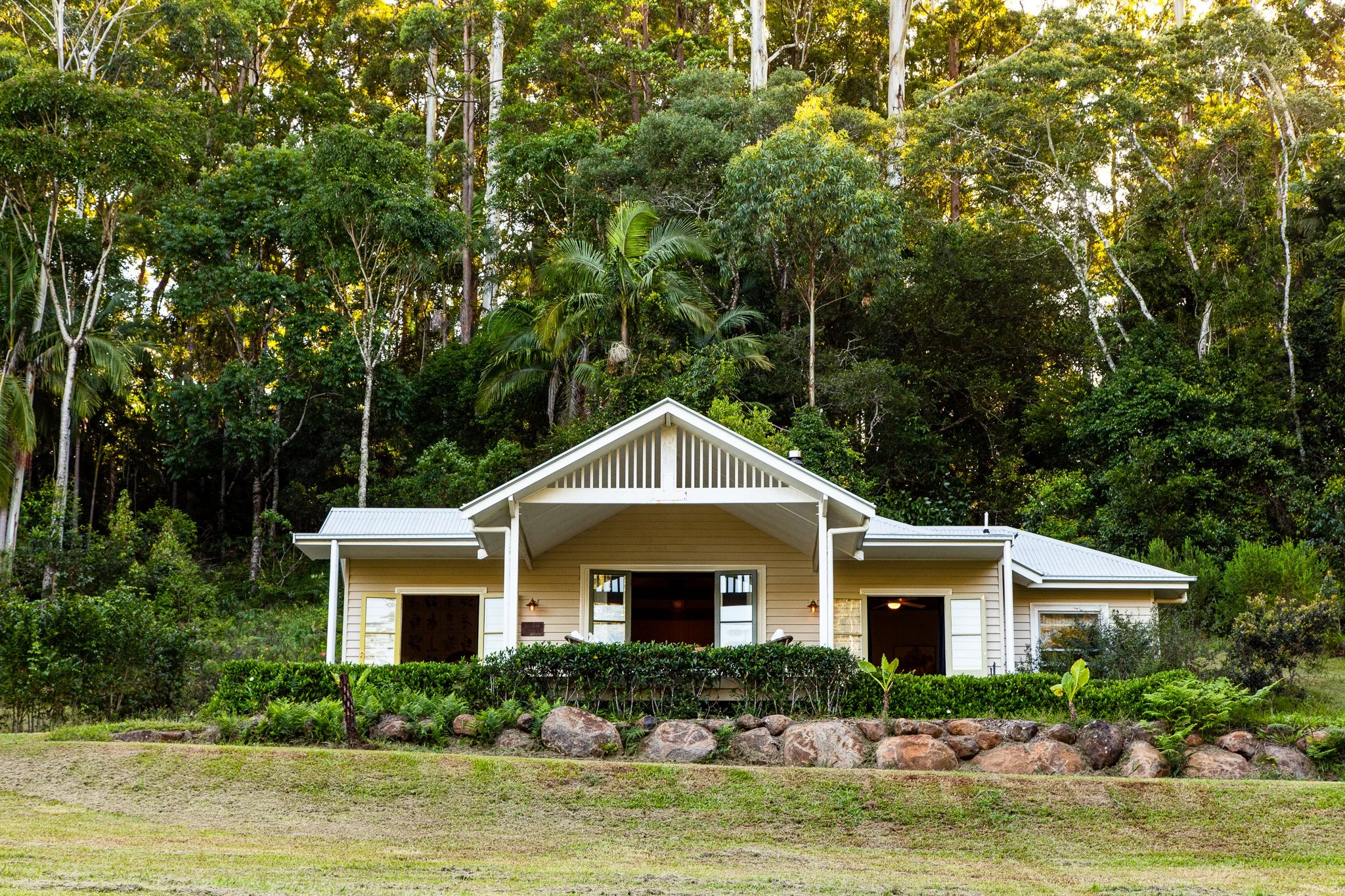 Nightcap Ridge Austrlia Byron Bay Air BnB 5.jpg