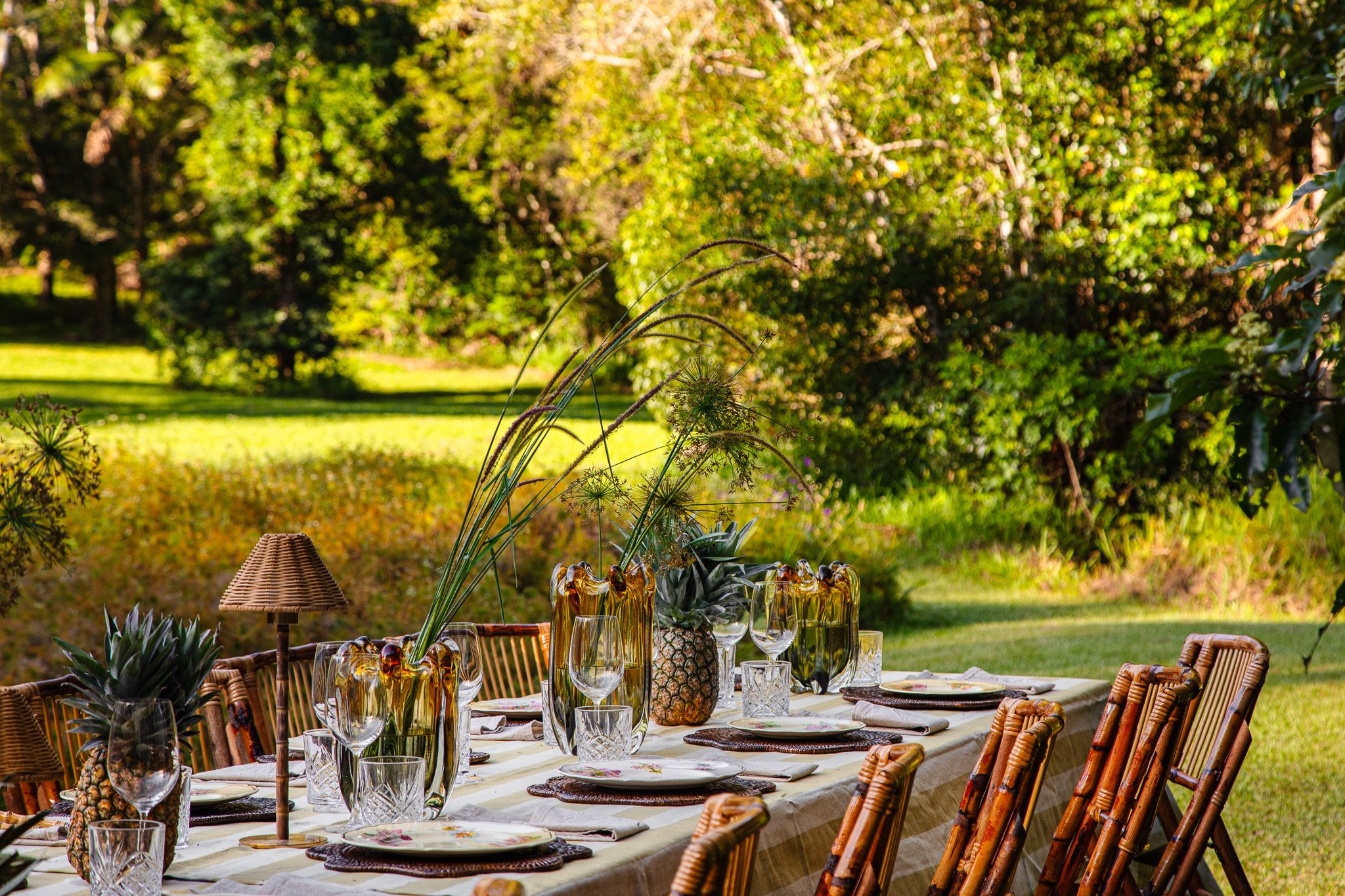 nightcap-ridge-byron-bay-hinterland-wedding-event-venue-photos3.jpg
