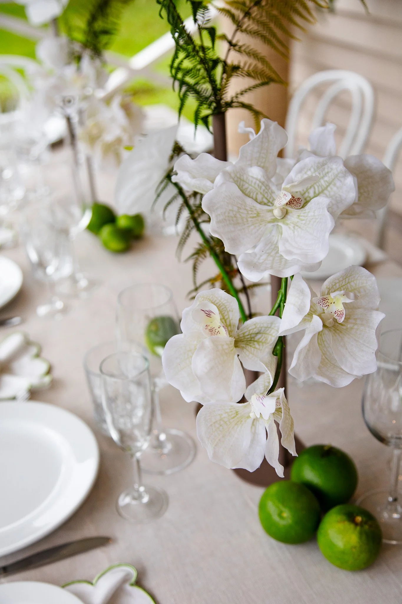 Elegant table centerpiece with white orchids and green apples on a dining table with glassware and white plates.
