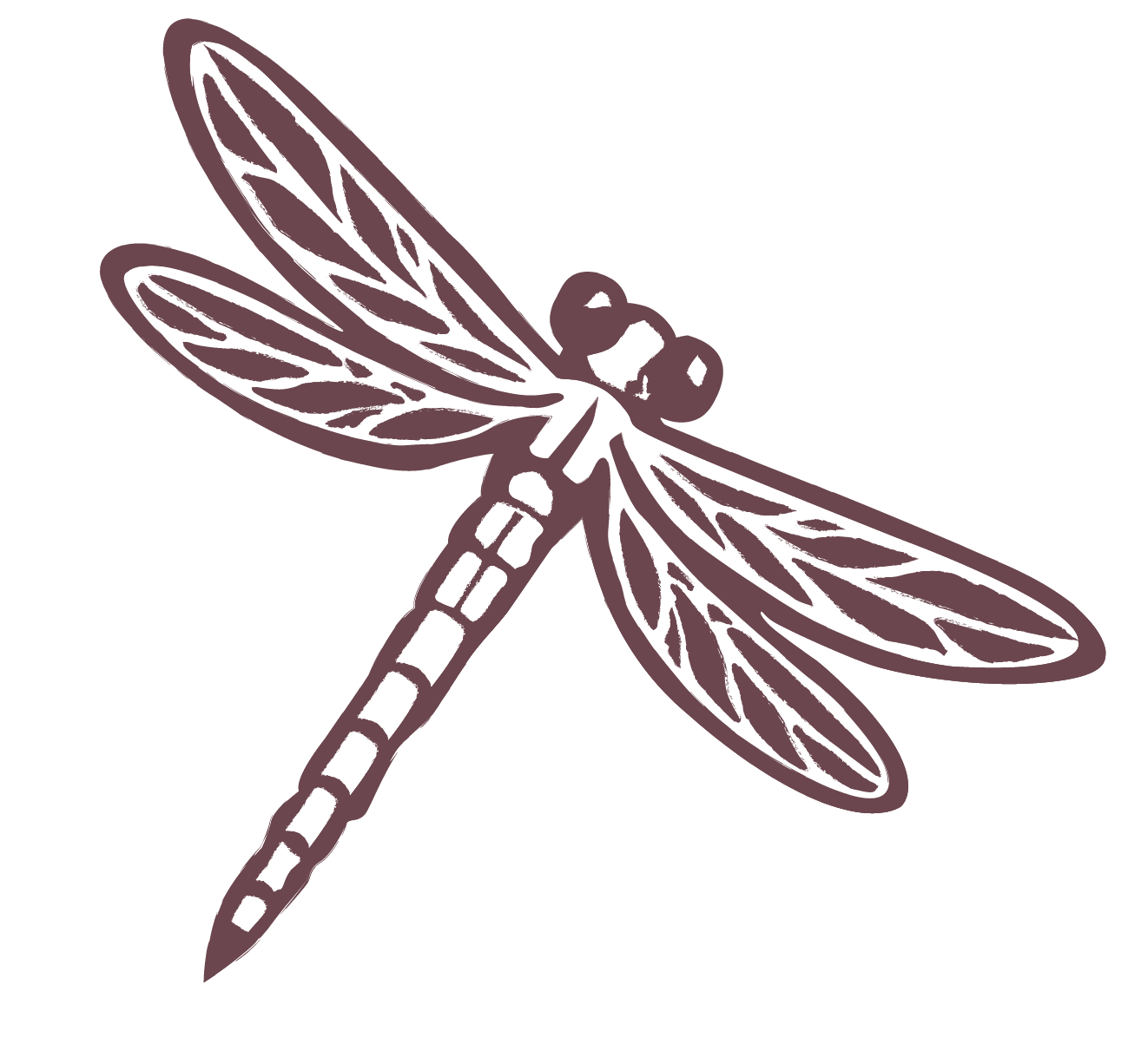 Line drawing of a dragonfly with detailed wings and body.