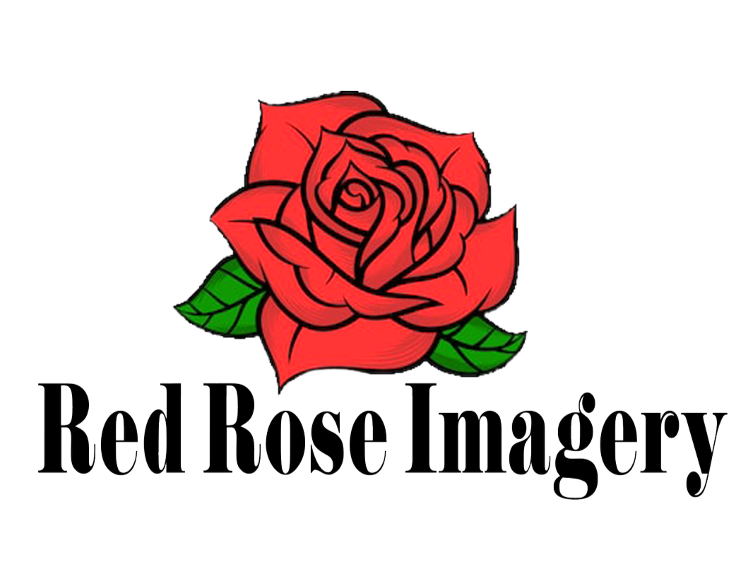 Red Rose Imagery