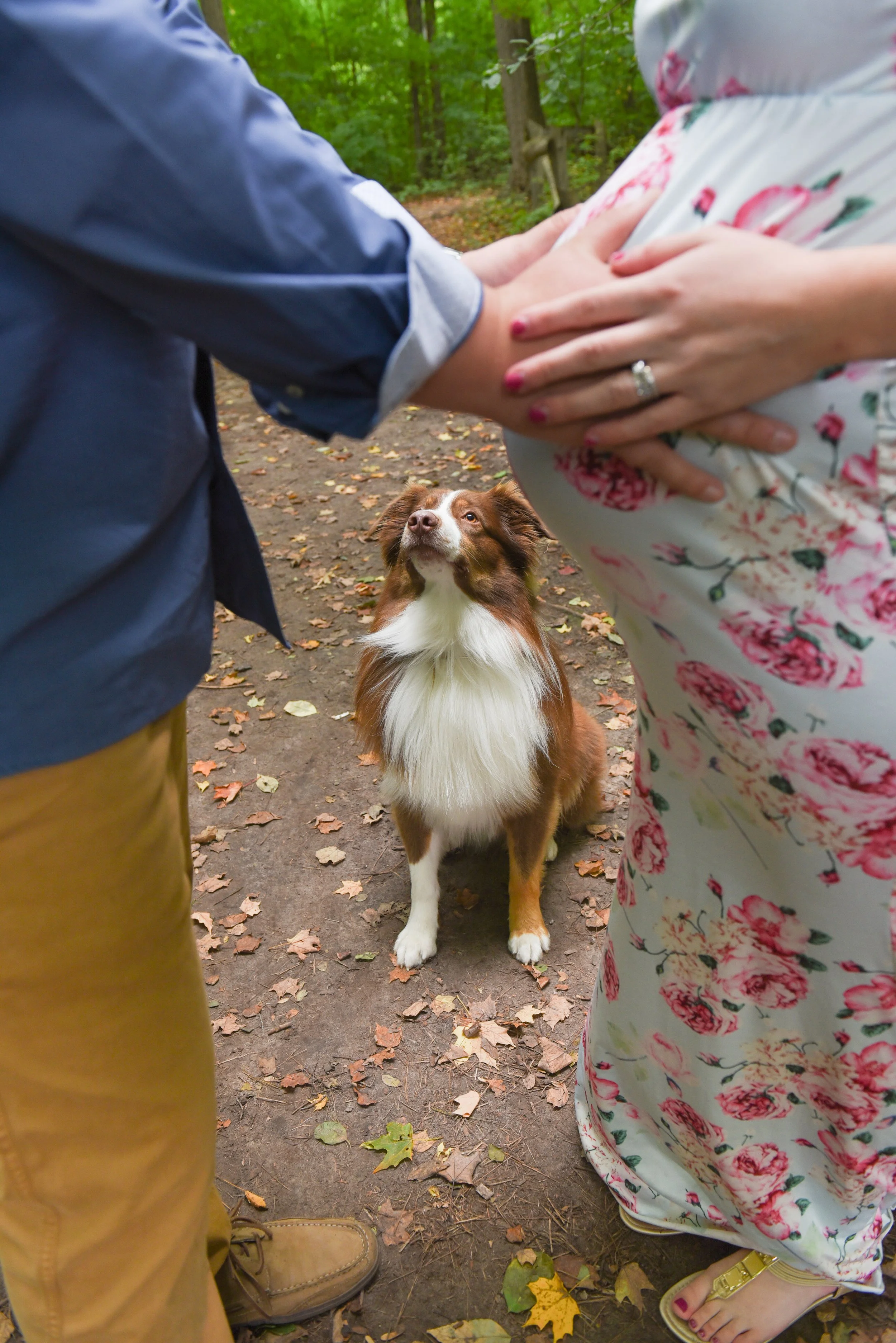 A dog sitting on a dirt path covered with fallen leaves, looking up at a pregnant woman and a man touching her belly, surrounded by a wooded area.