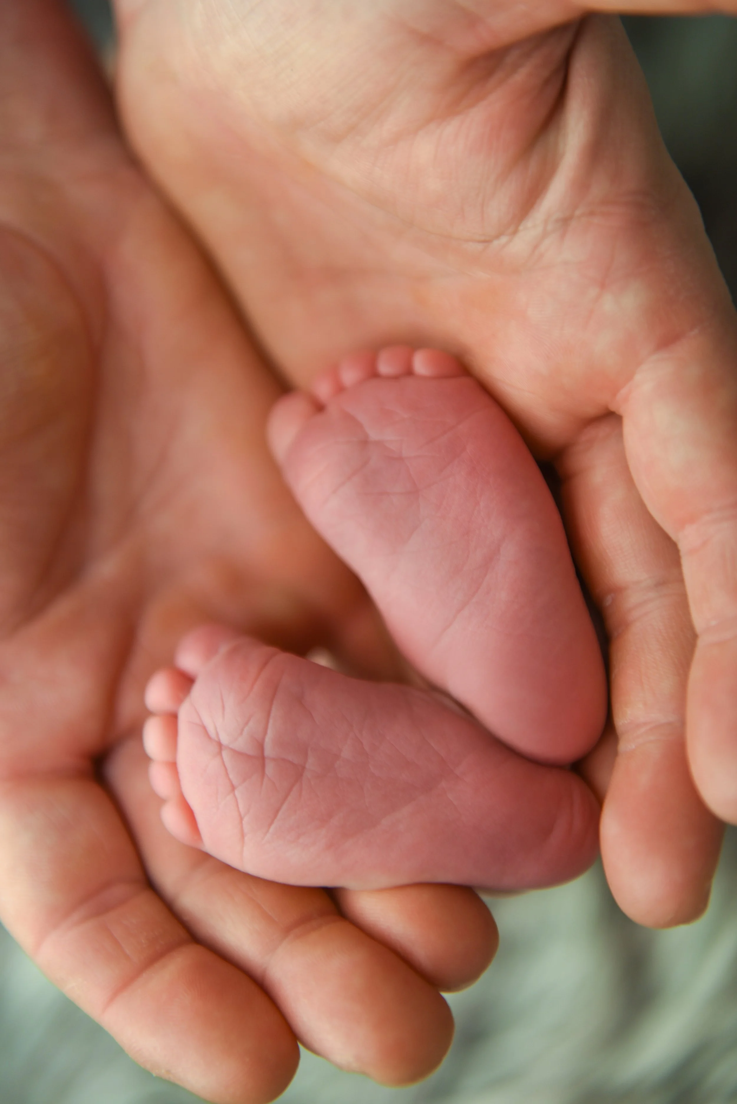 Close-up of an adult's hand gently holding a tiny, curled baby hand with small fingers.