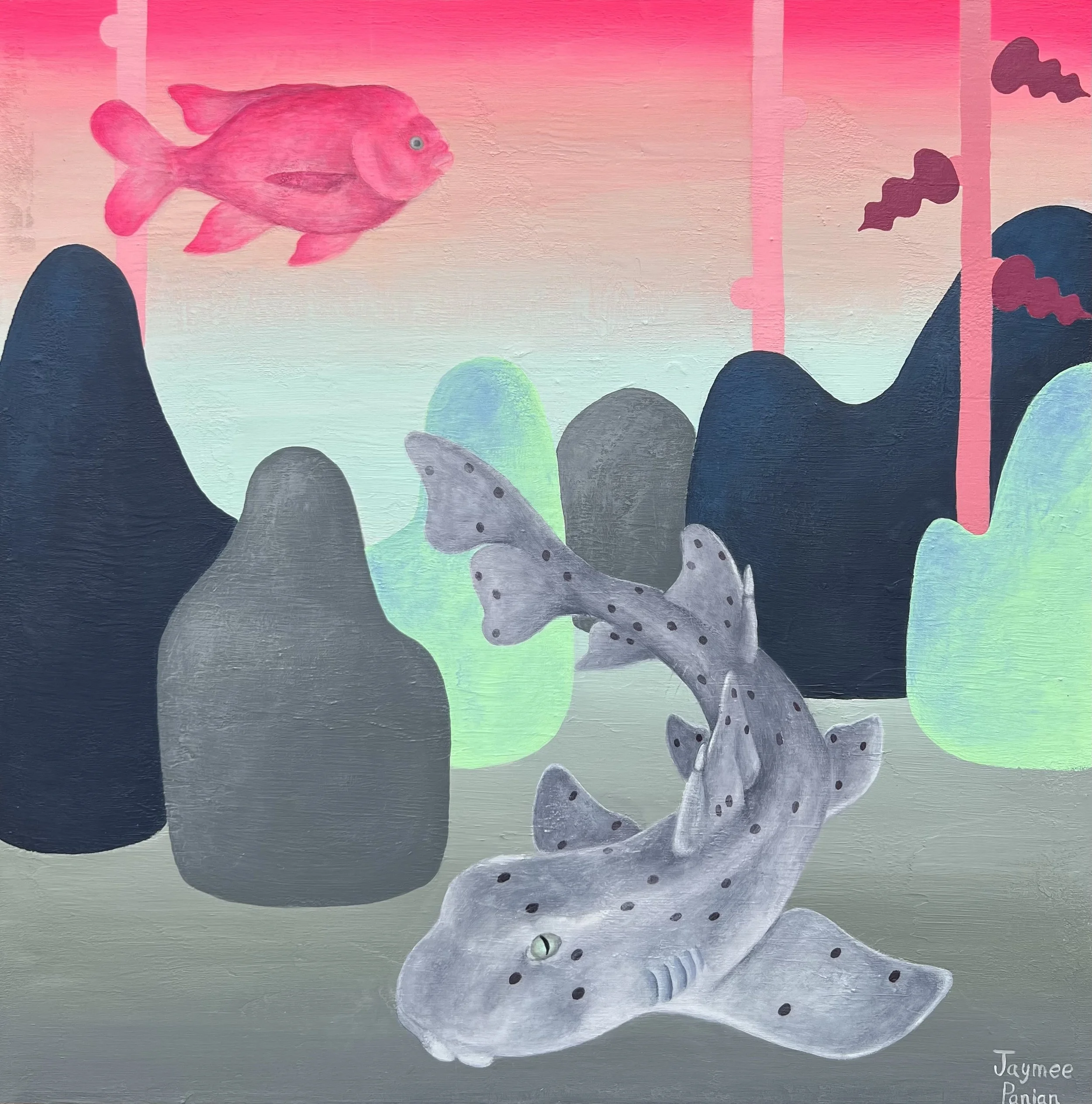 "The Horn Shark"  24" X 24"